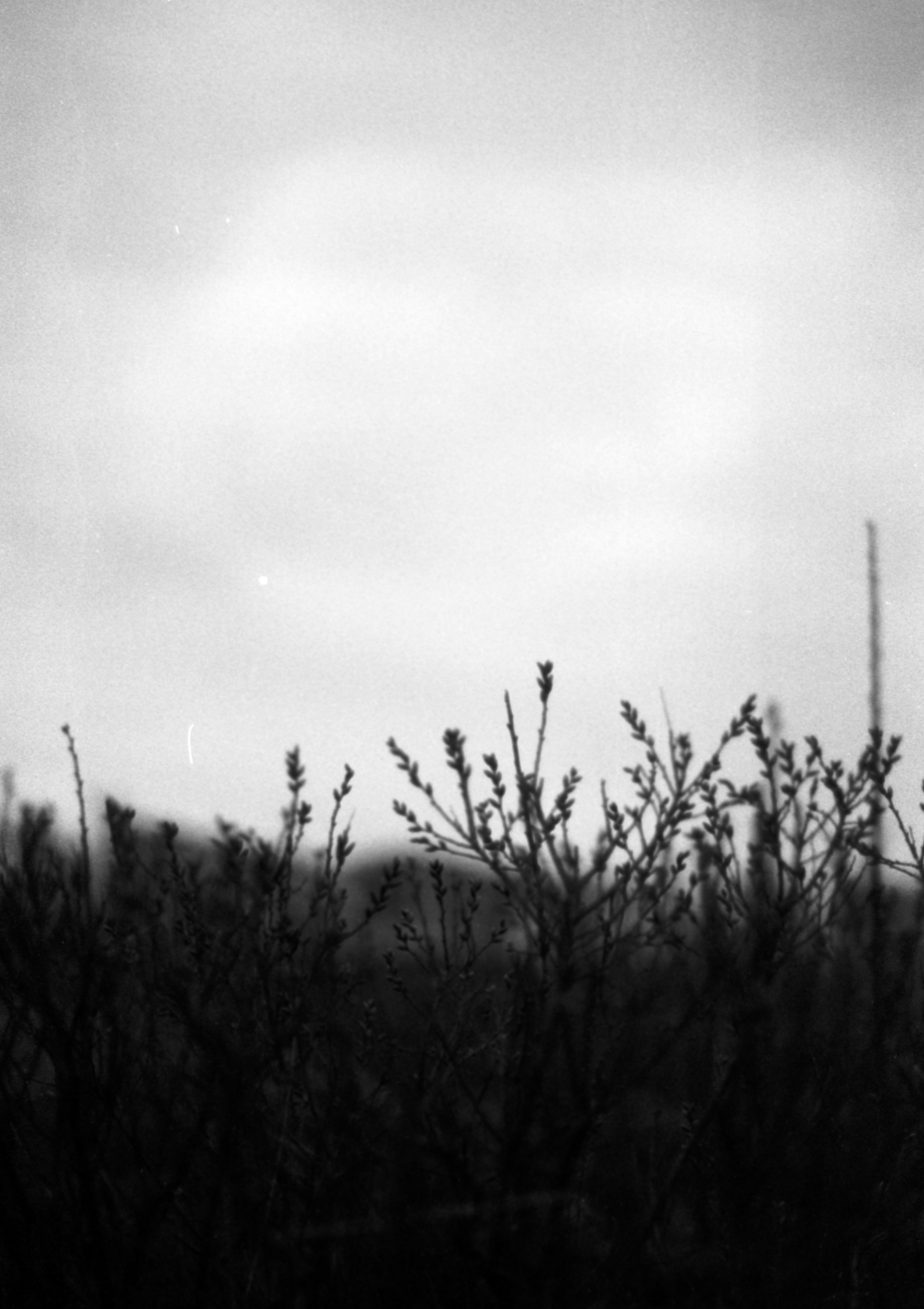 Photo by anniespratt