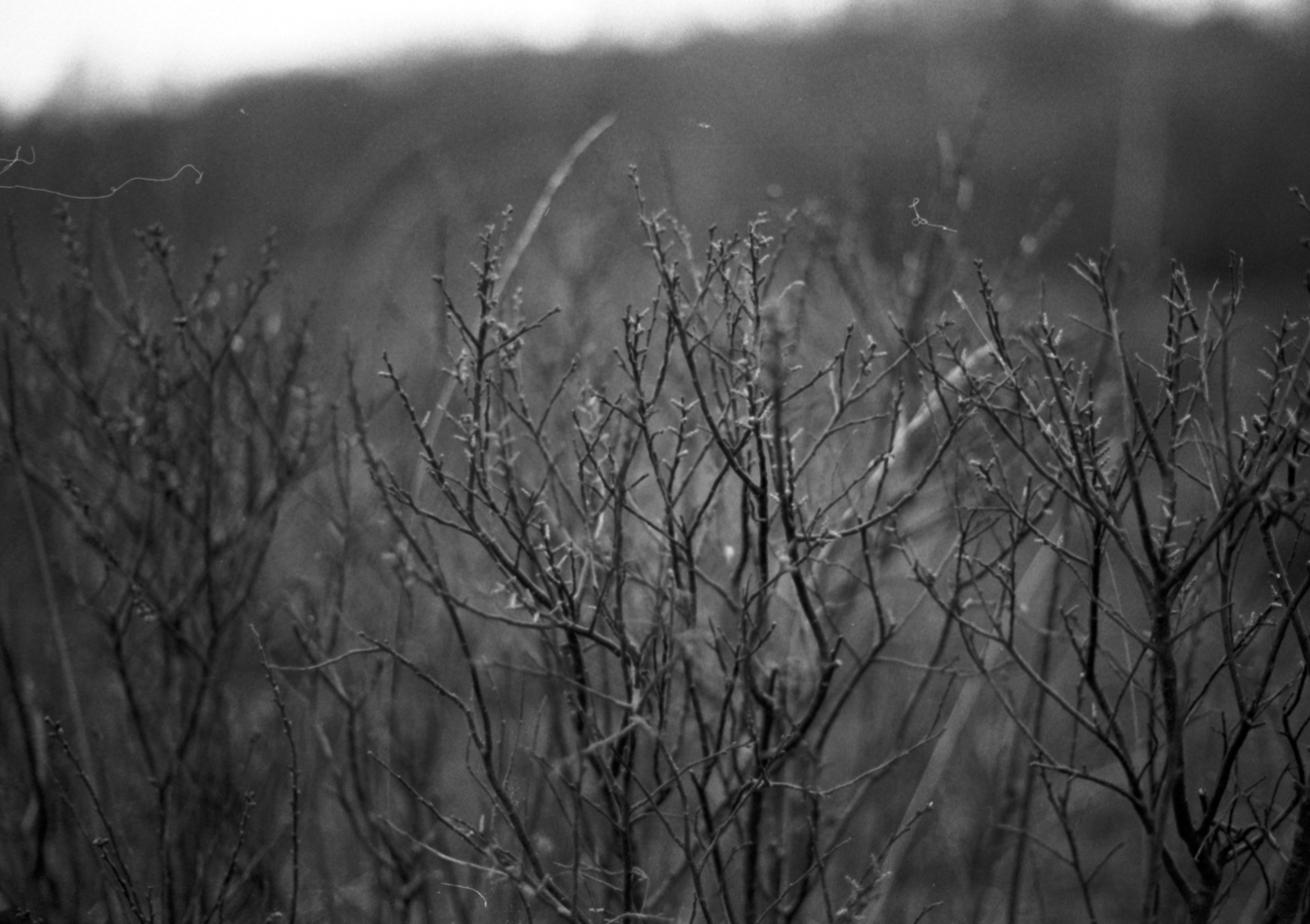 Photo by anniespratt