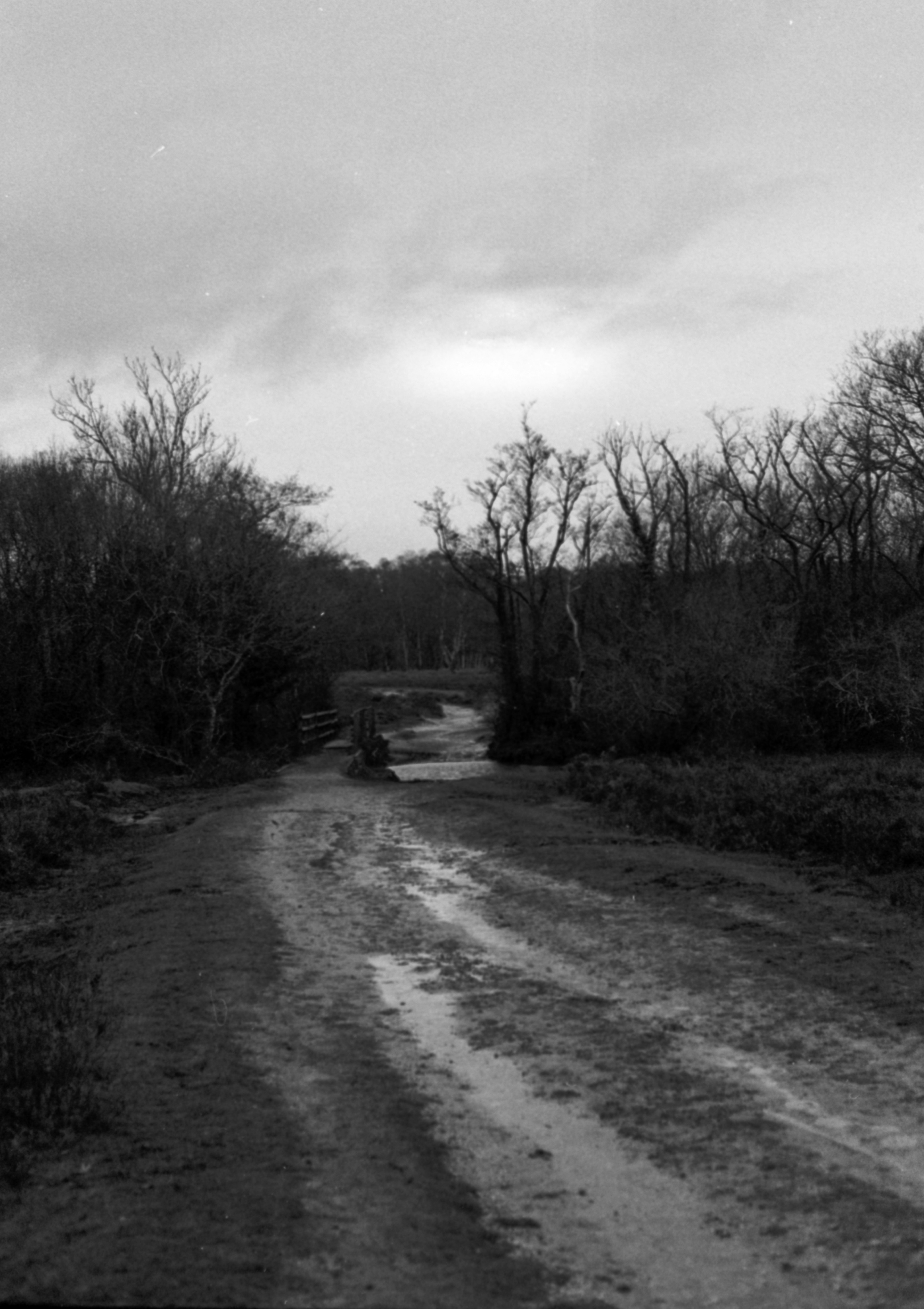 Photo by anniespratt