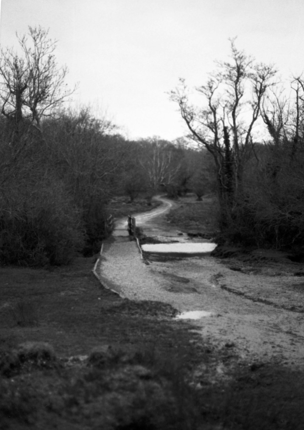 a black and white photo of a dirt road