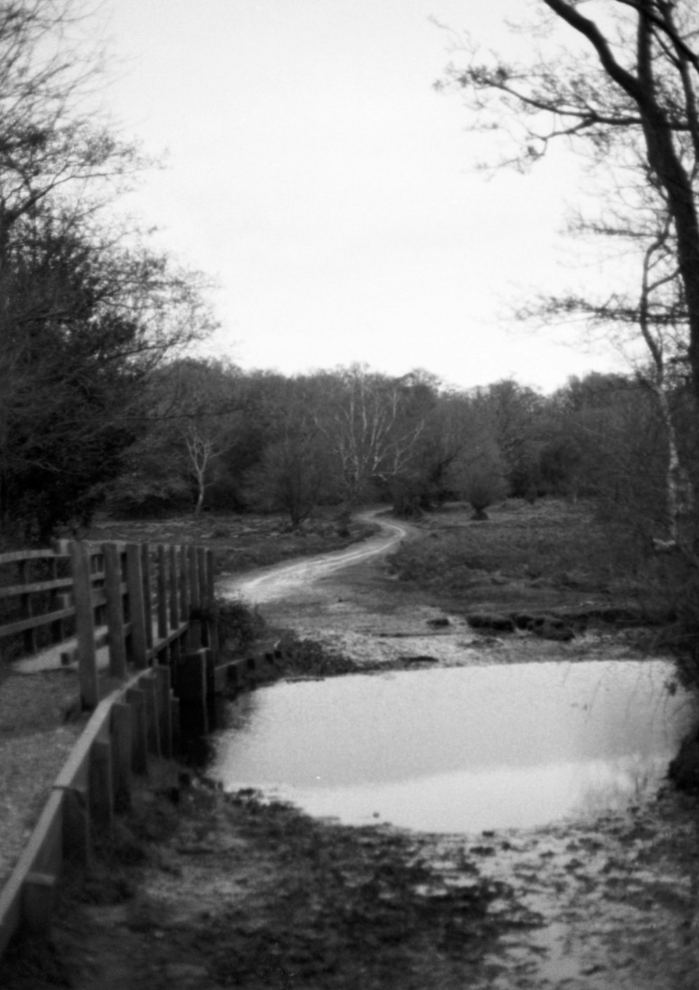 a black and white photo of a small pond