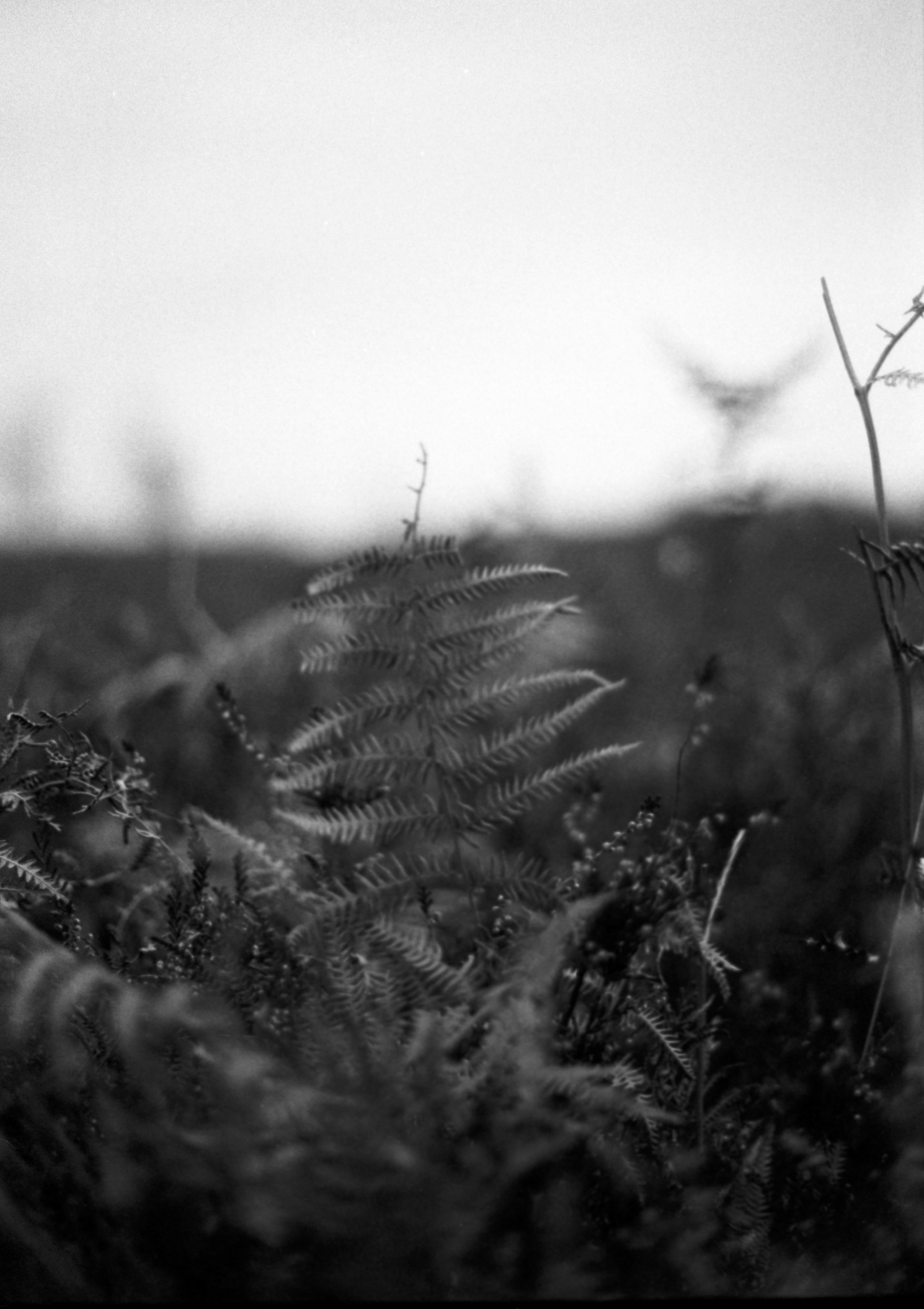 Photo by anniespratt