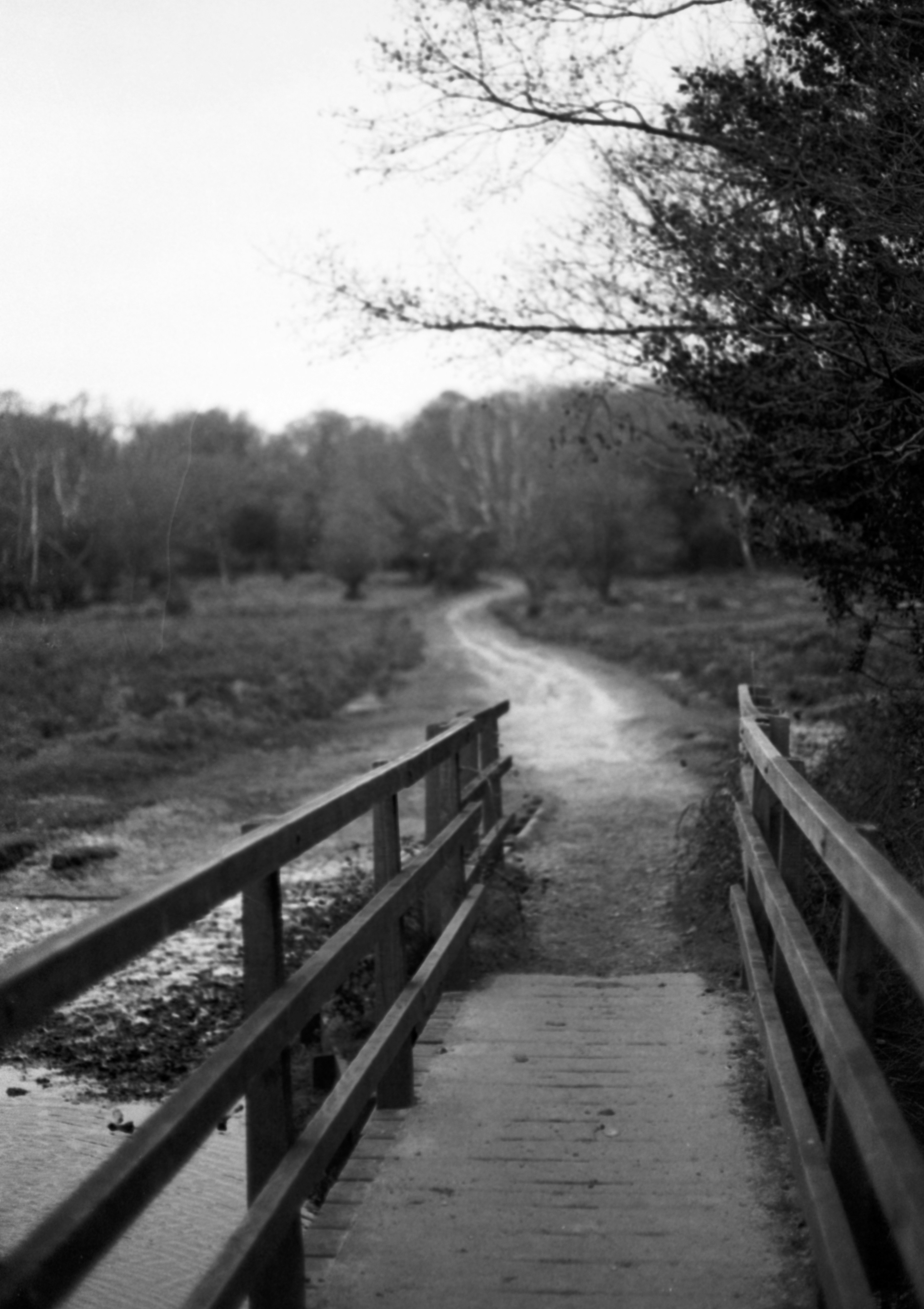 Photo by anniespratt