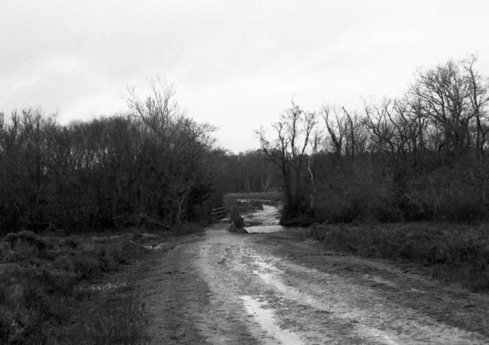 a black and white photo of a dirt road