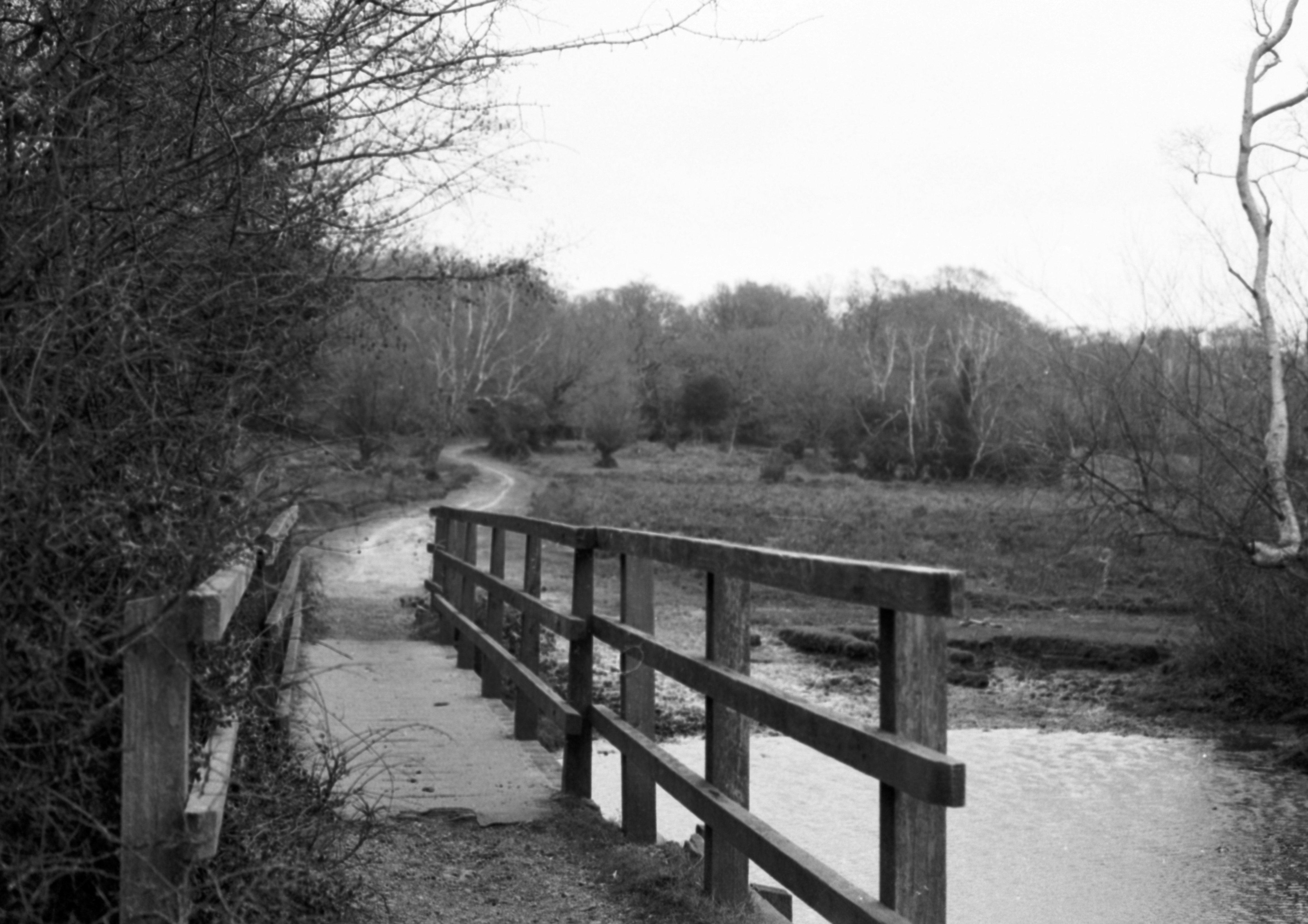 Photo by anniespratt