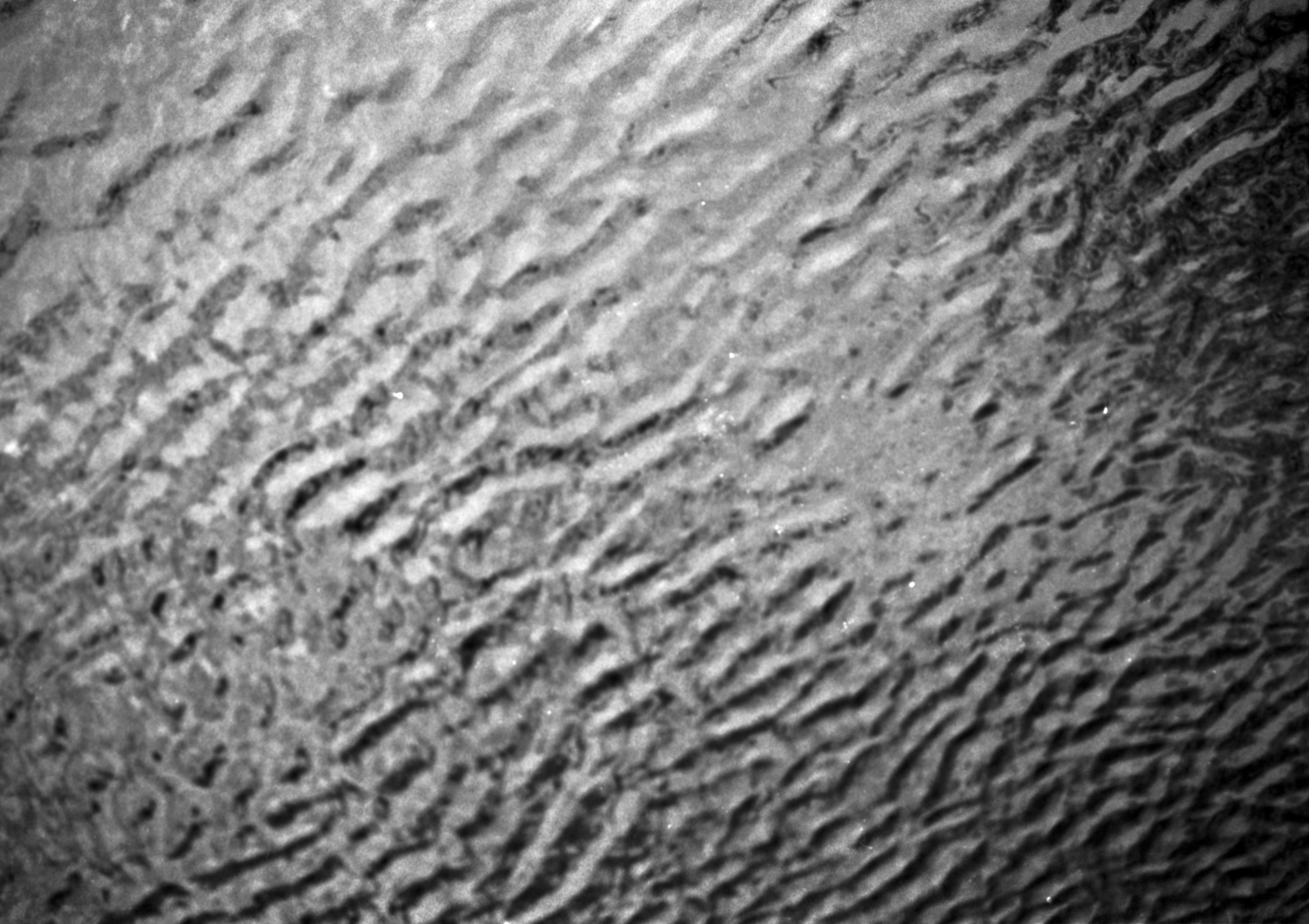 Photo by anniespratt