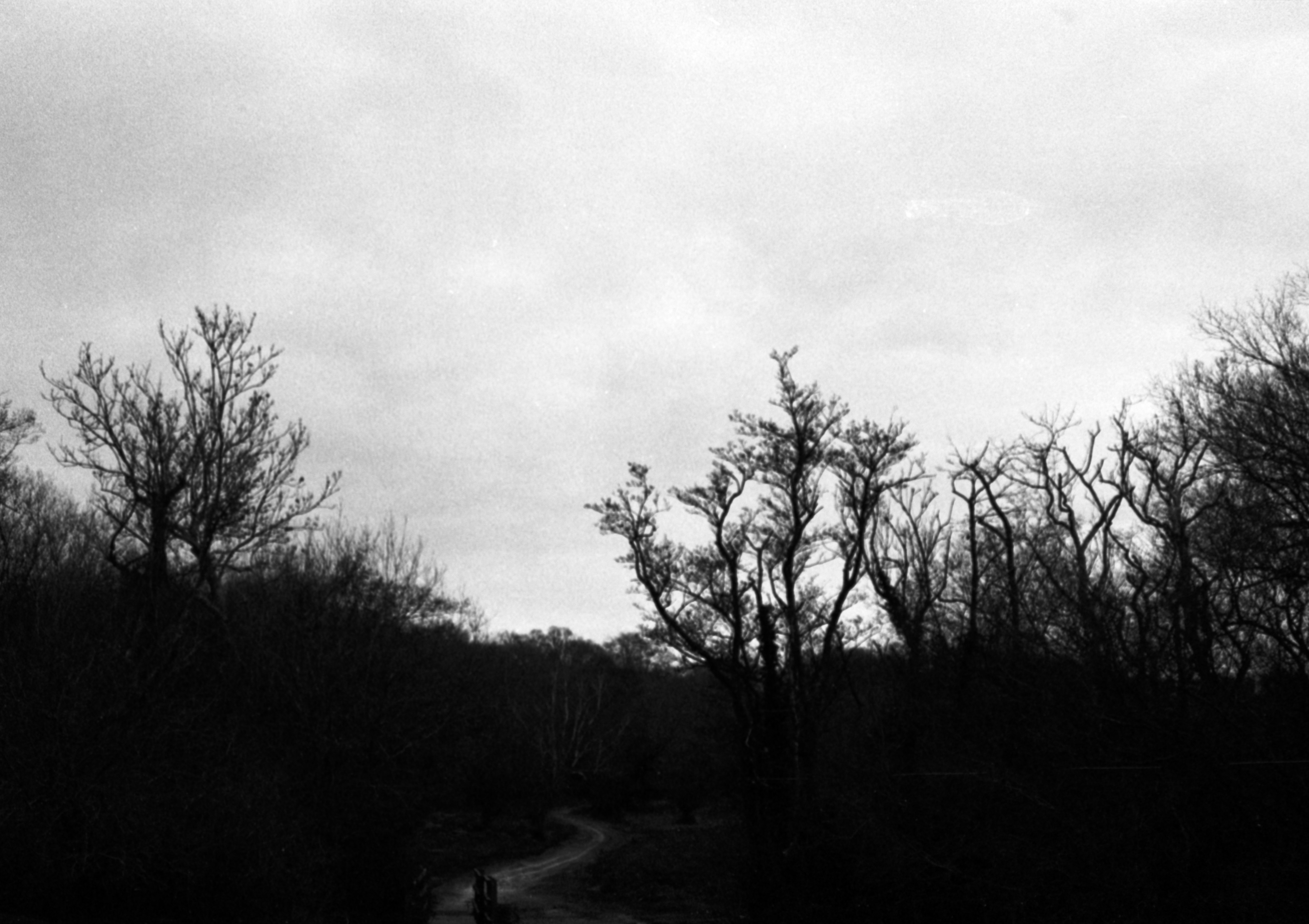 Photo by anniespratt