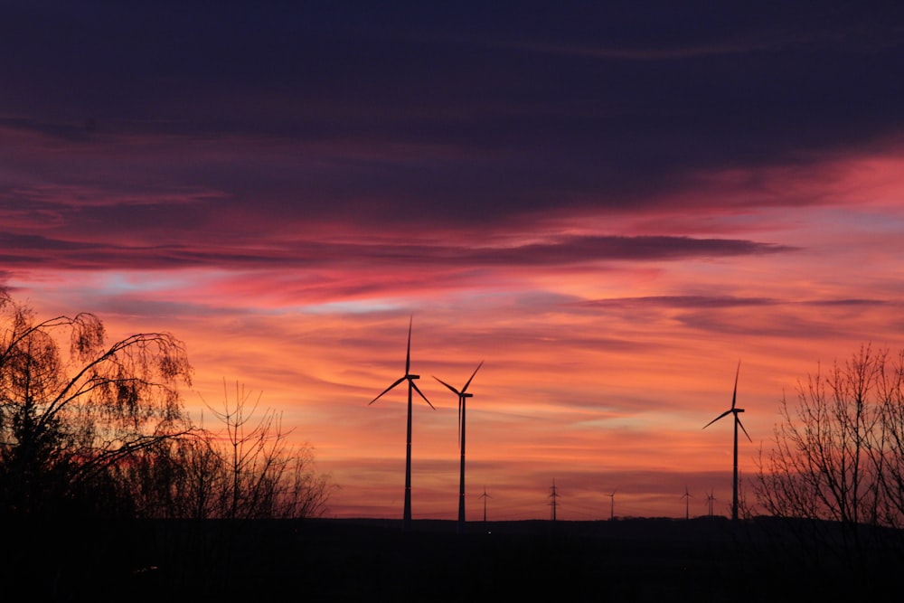 Un grupo de molinos de viento se recortan contra una puesta de sol