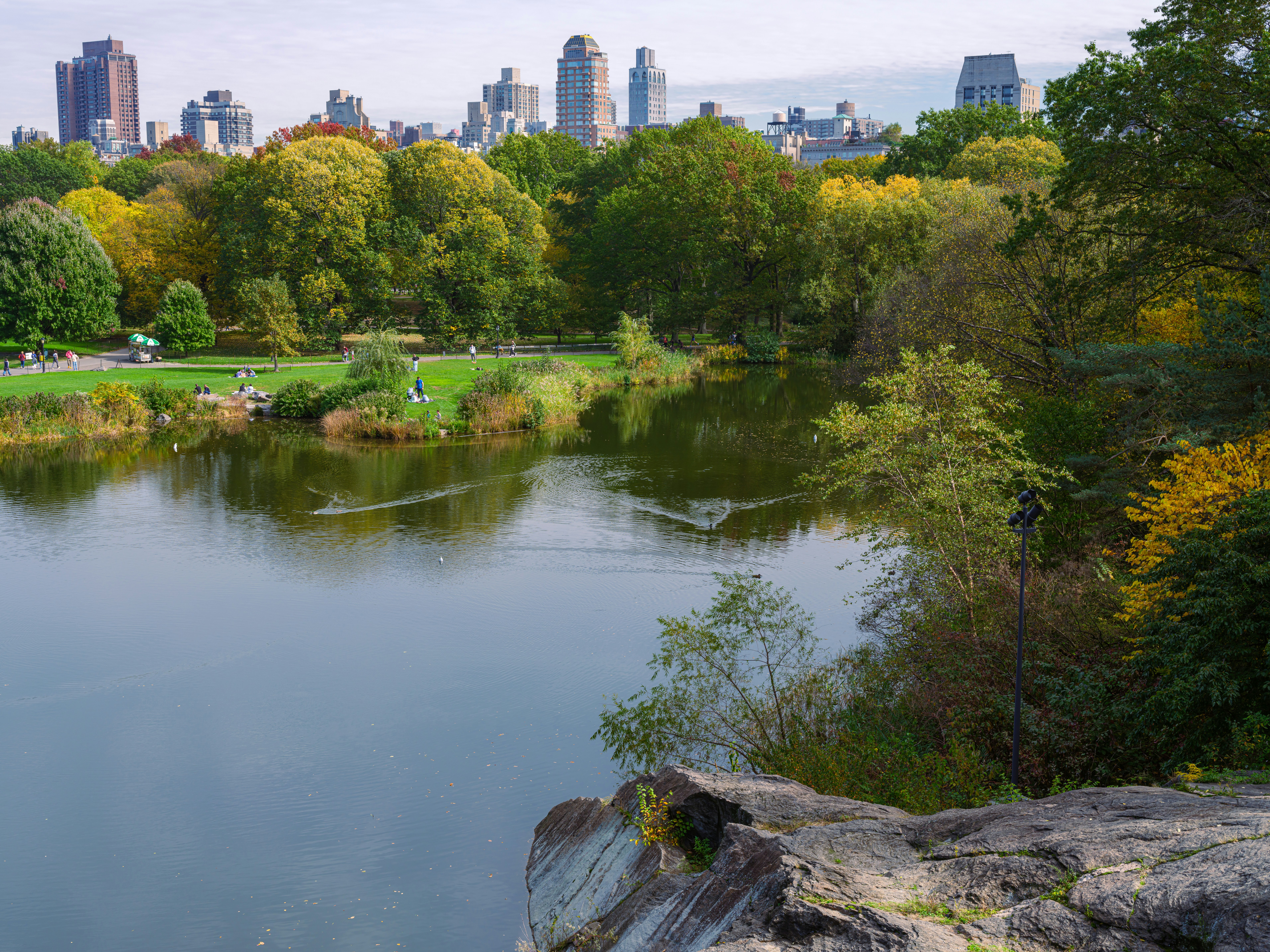 a large body of water surrounded by trees, Urban Space Central Park, New York City