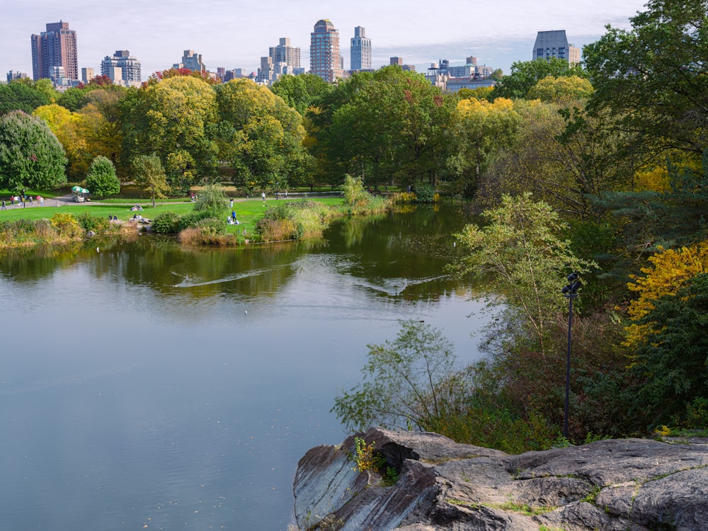 a large body of water surrounded by trees