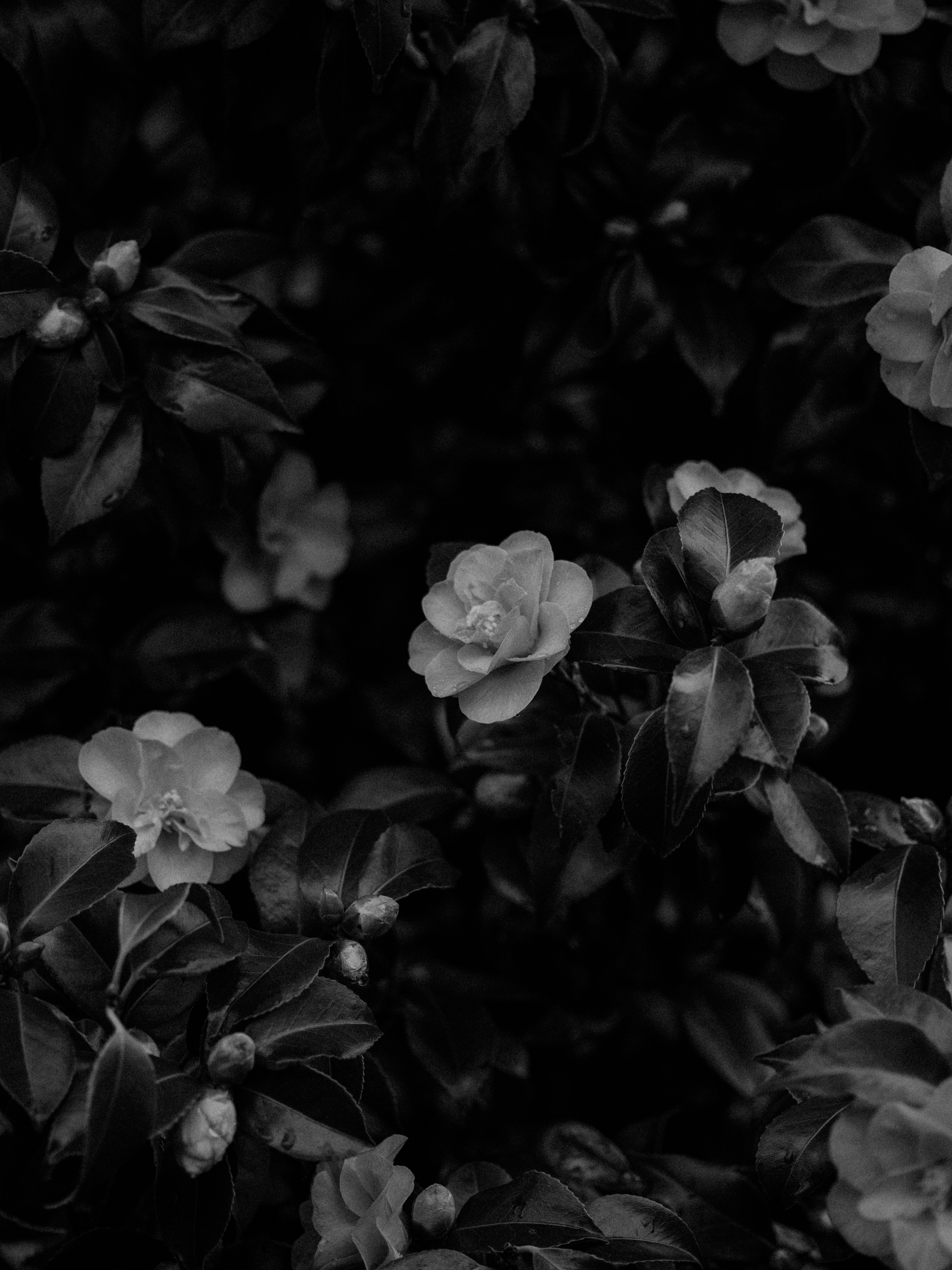 Photo by anniespratt