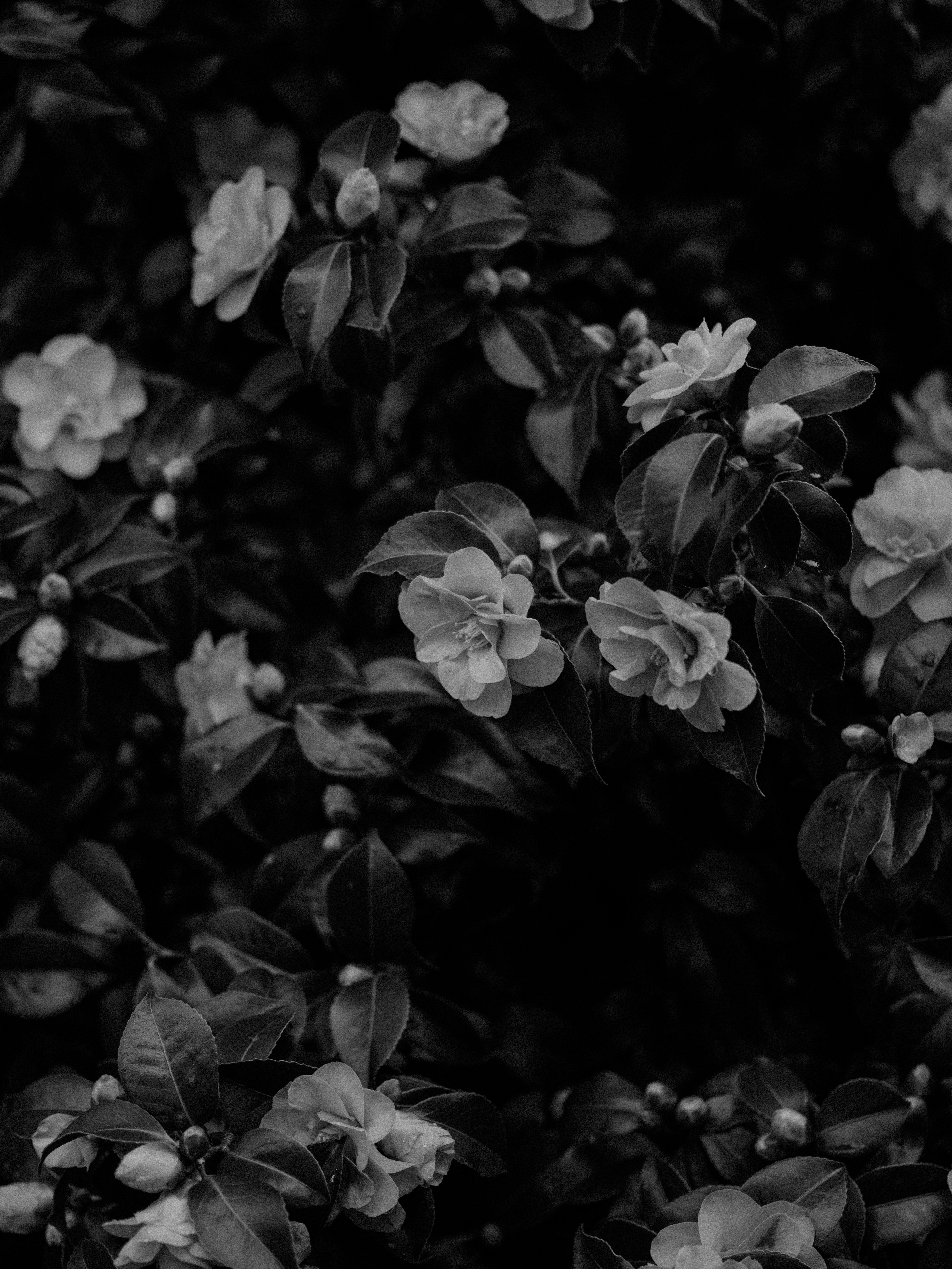 Photo by anniespratt