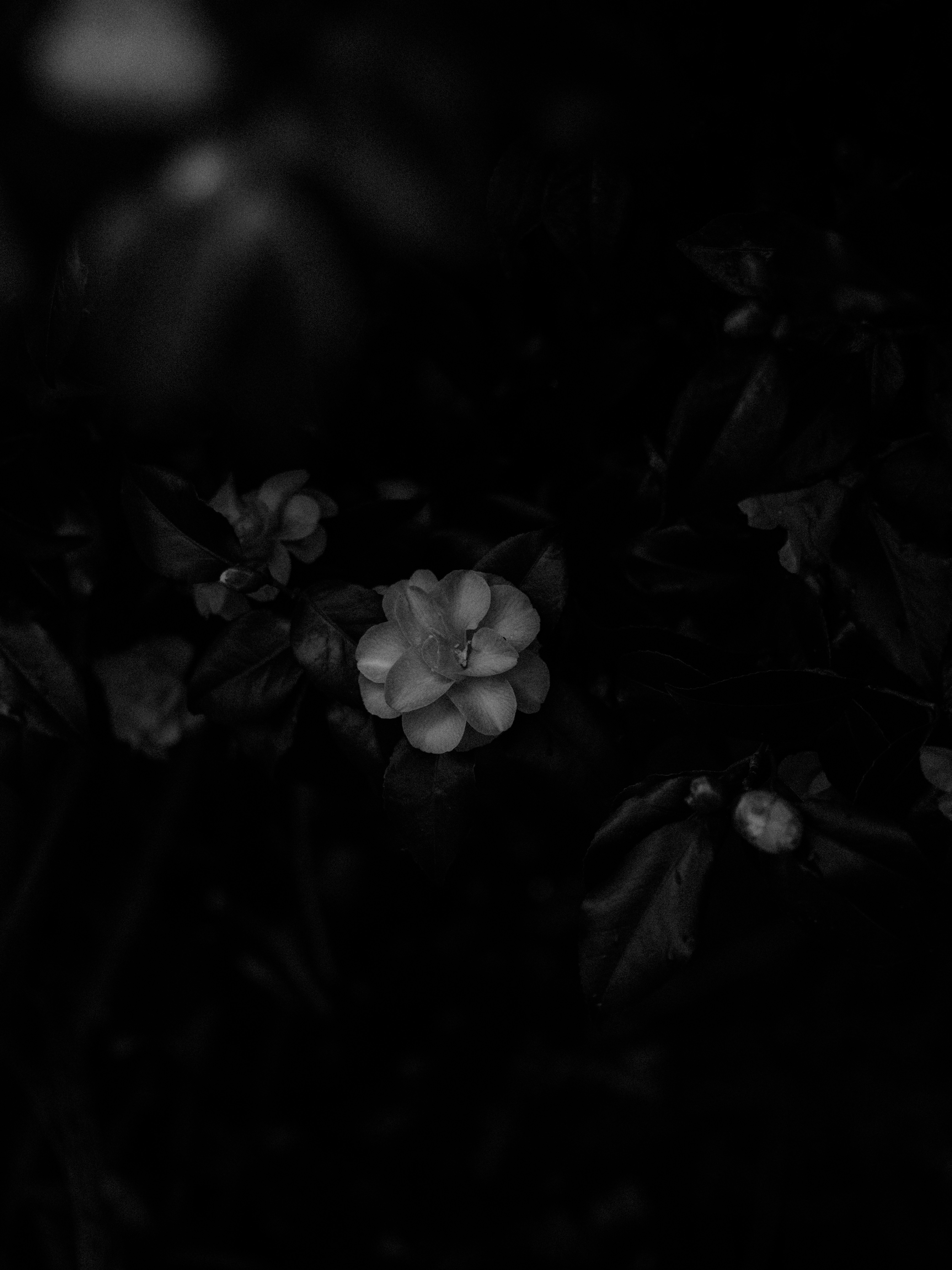 Photo by anniespratt