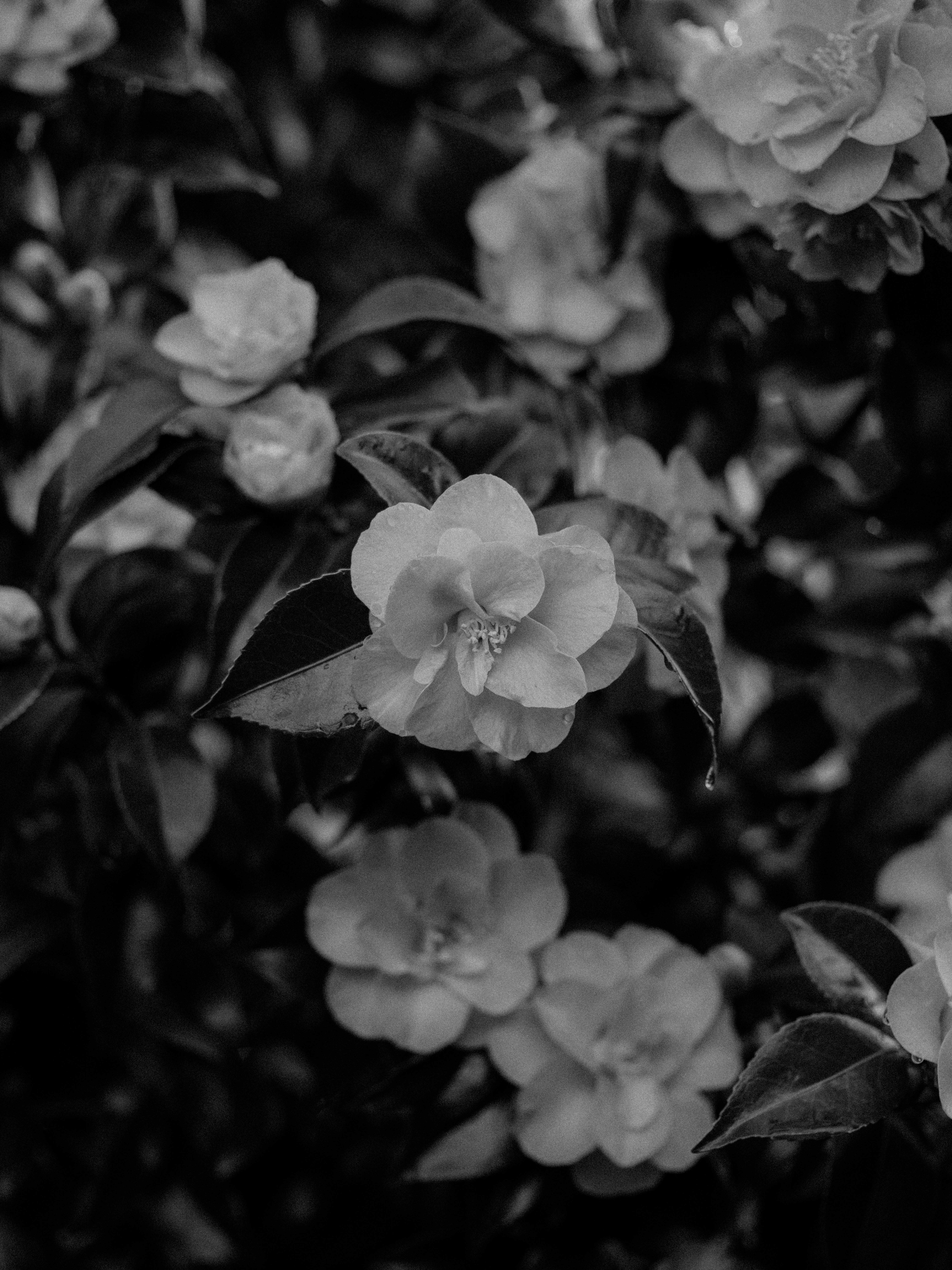 Photo by anniespratt