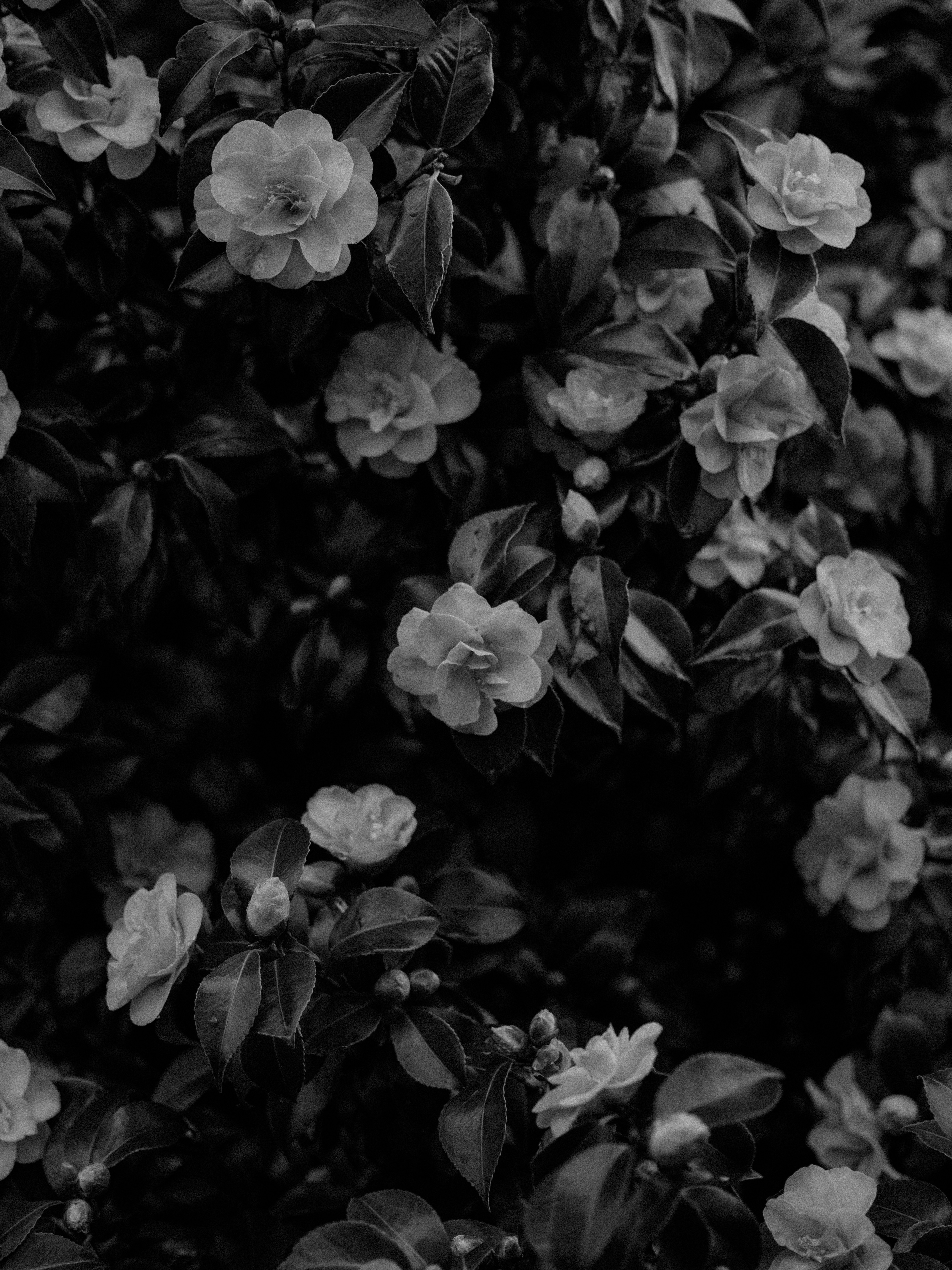 Photo by anniespratt