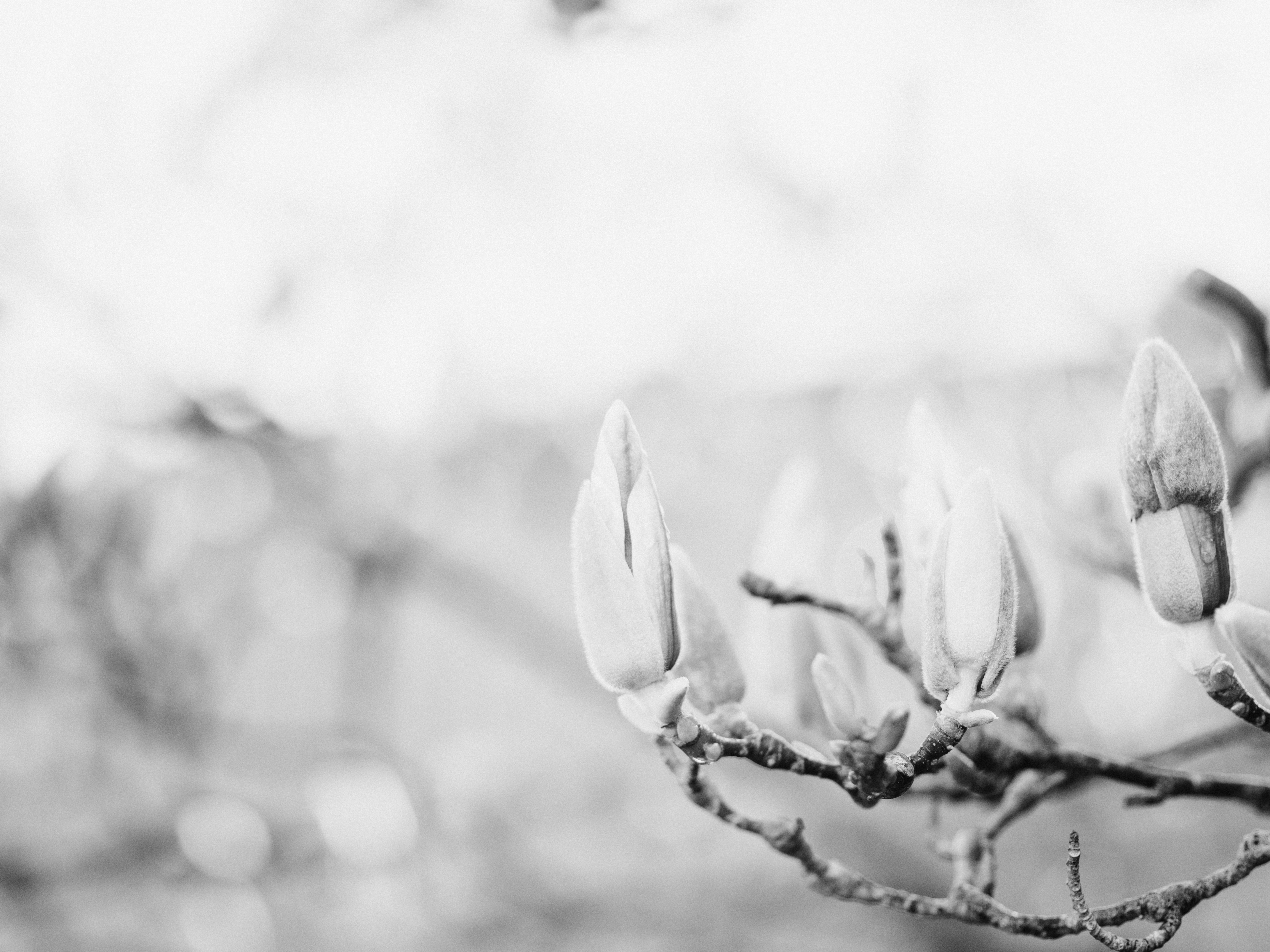 Photo by anniespratt