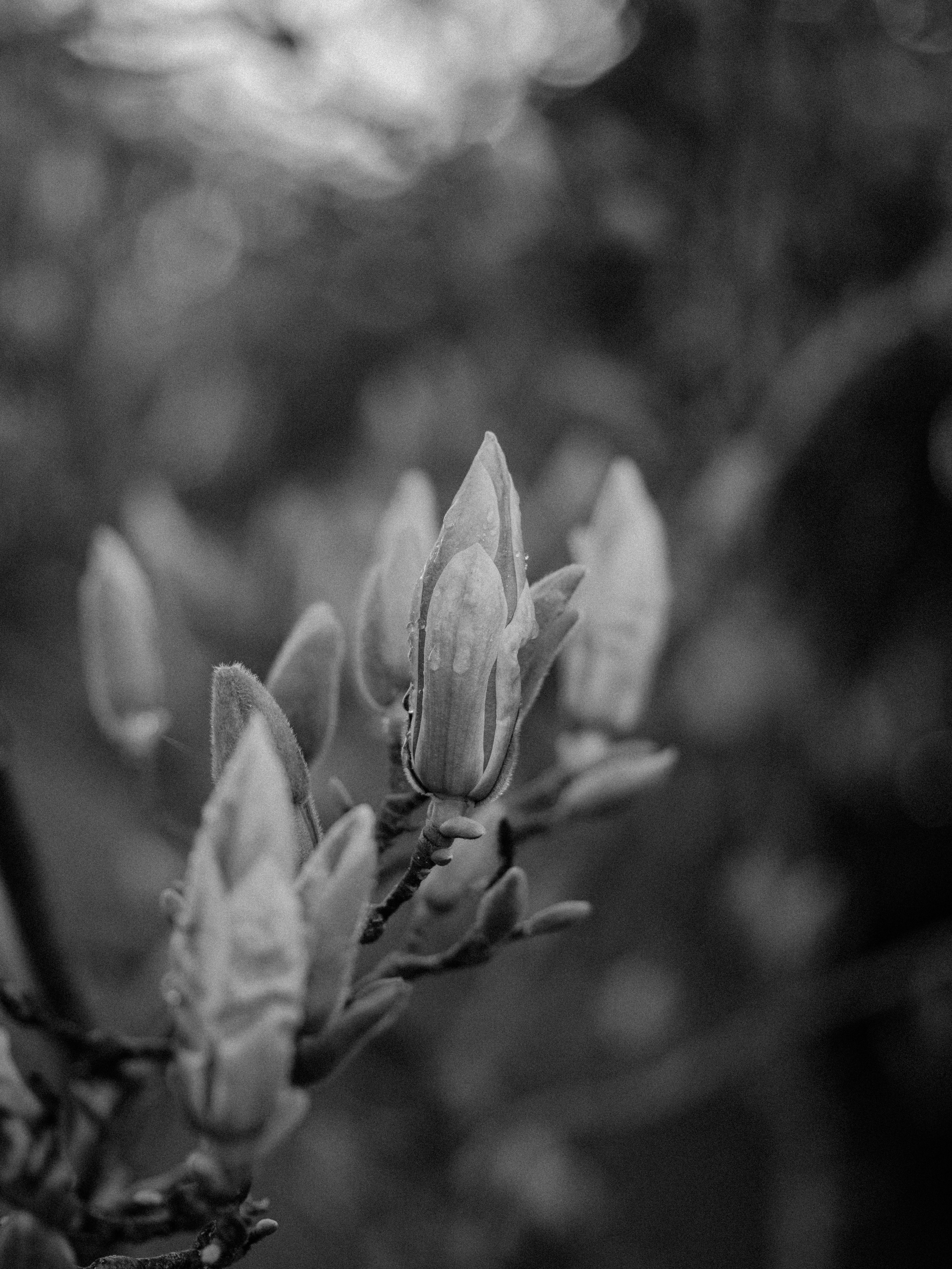 Photo by anniespratt