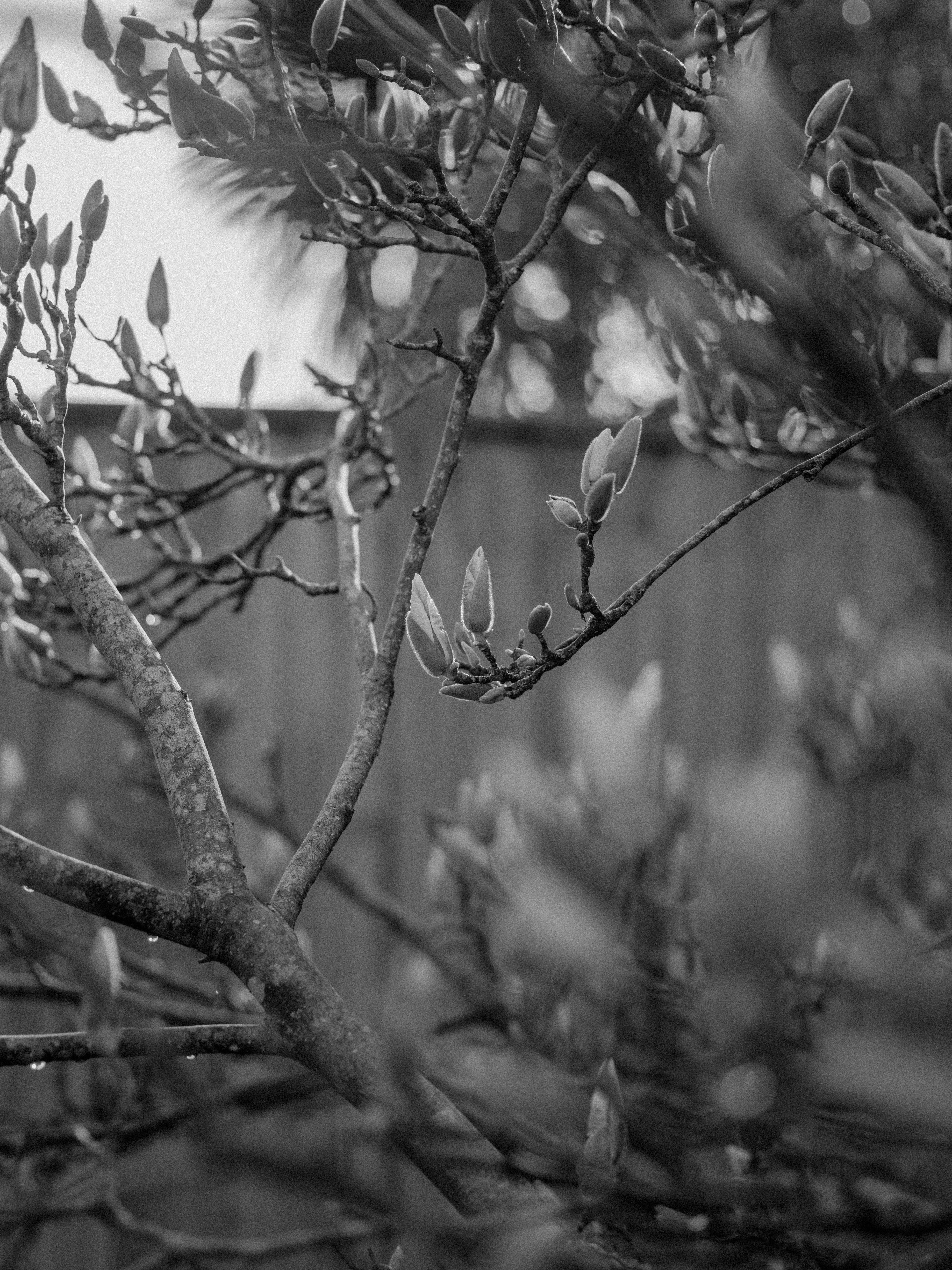 Photo by anniespratt