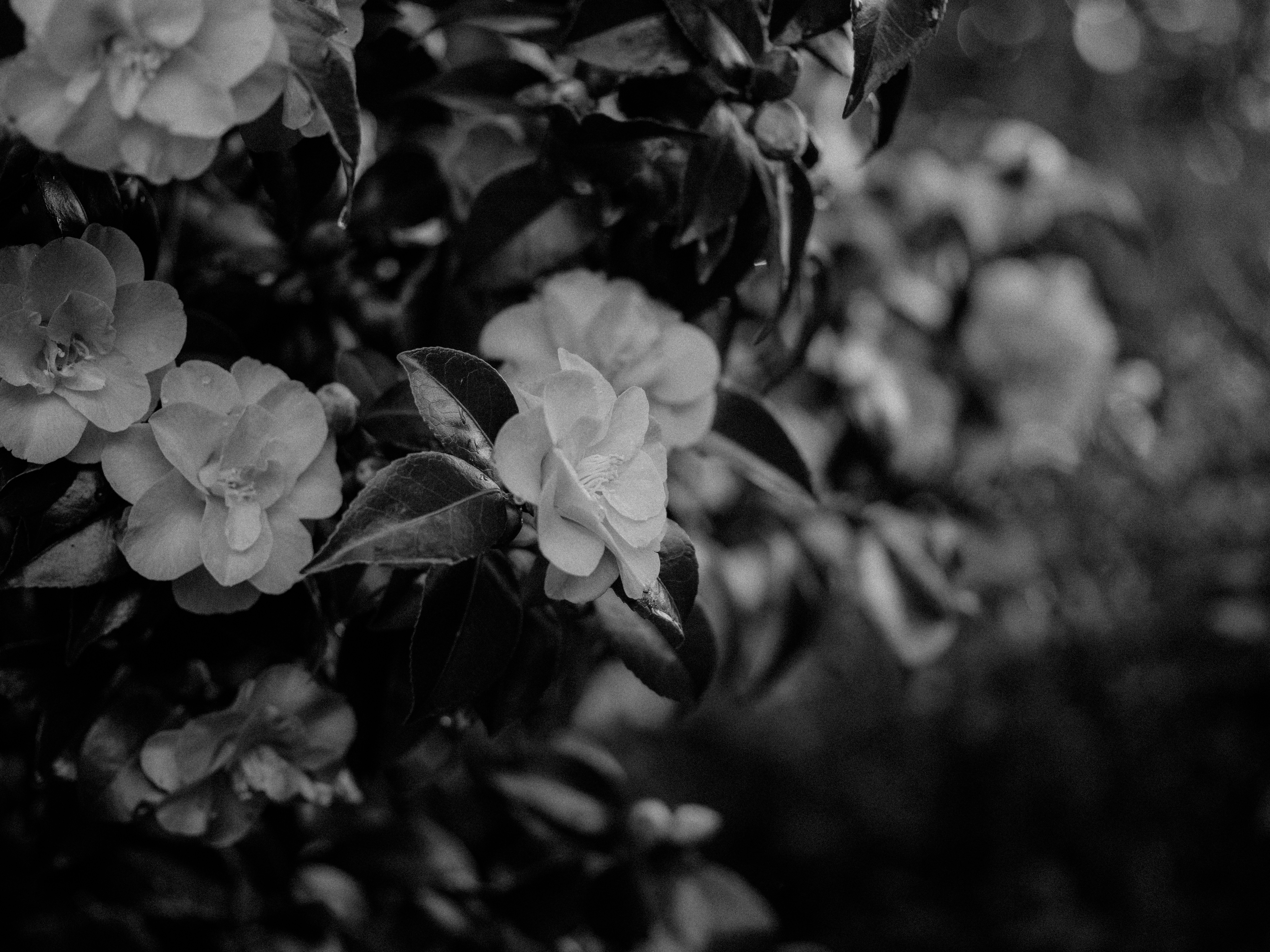 Photo by anniespratt