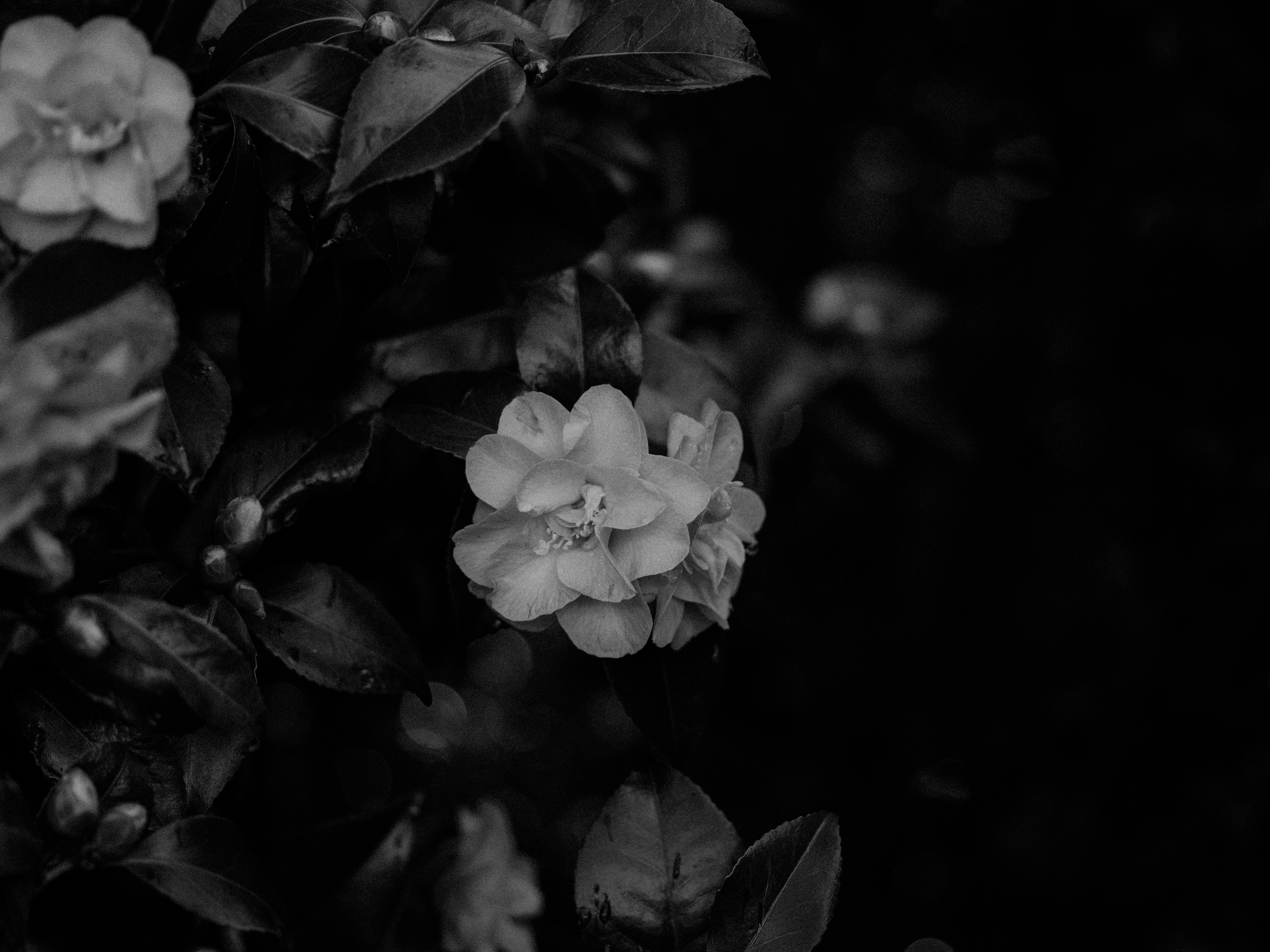 Photo by anniespratt