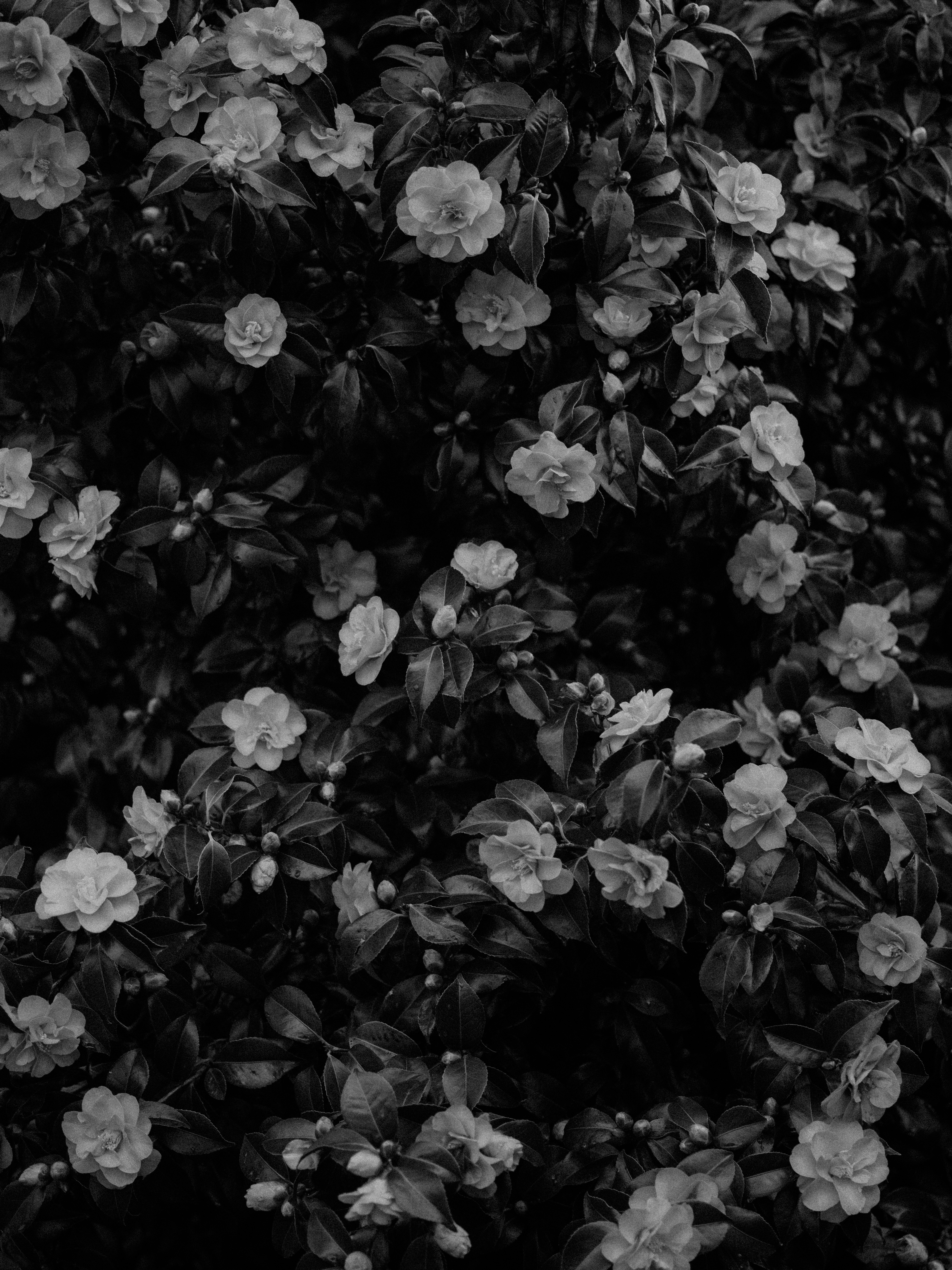 Photo by anniespratt