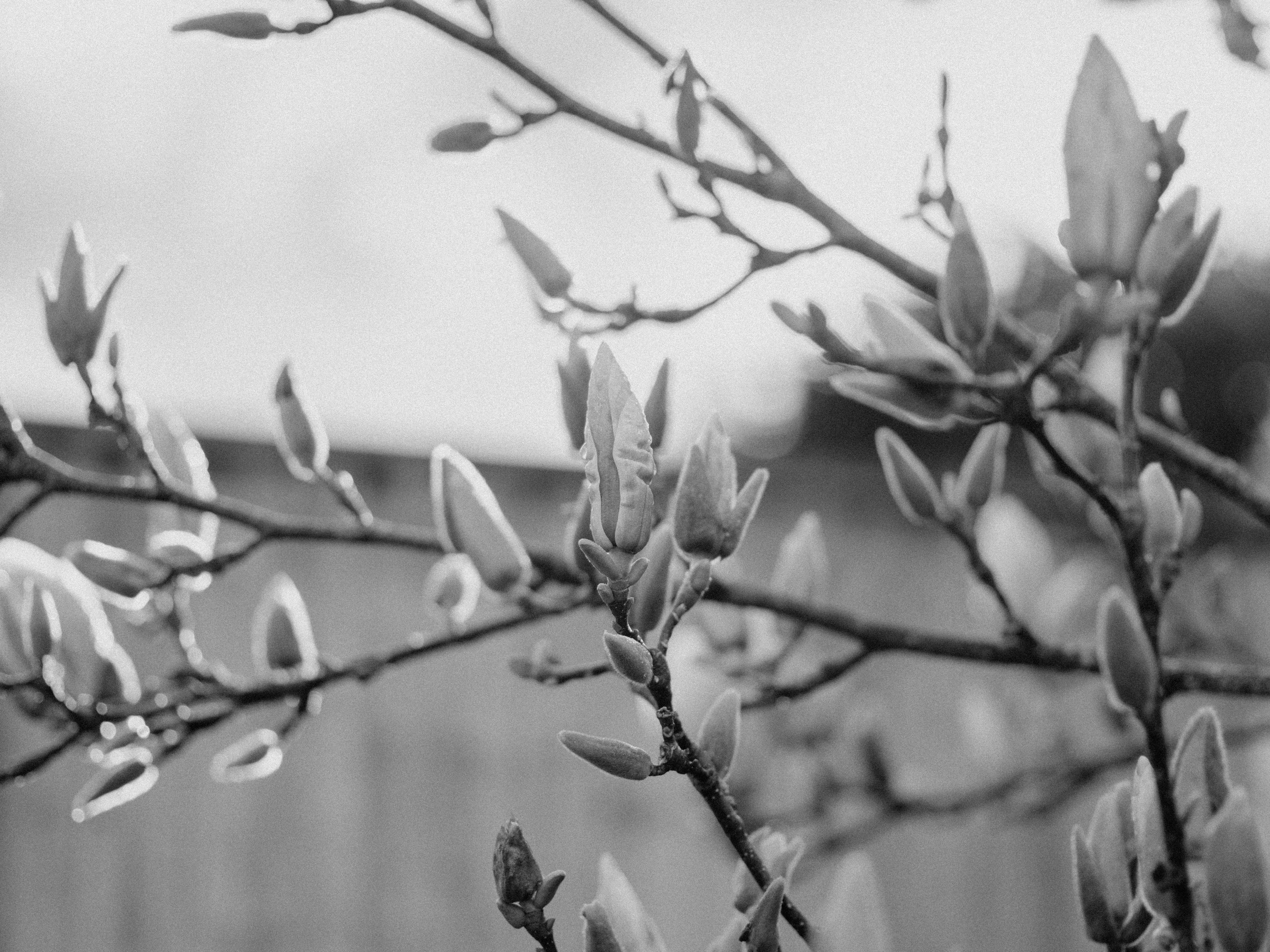 Photo by anniespratt