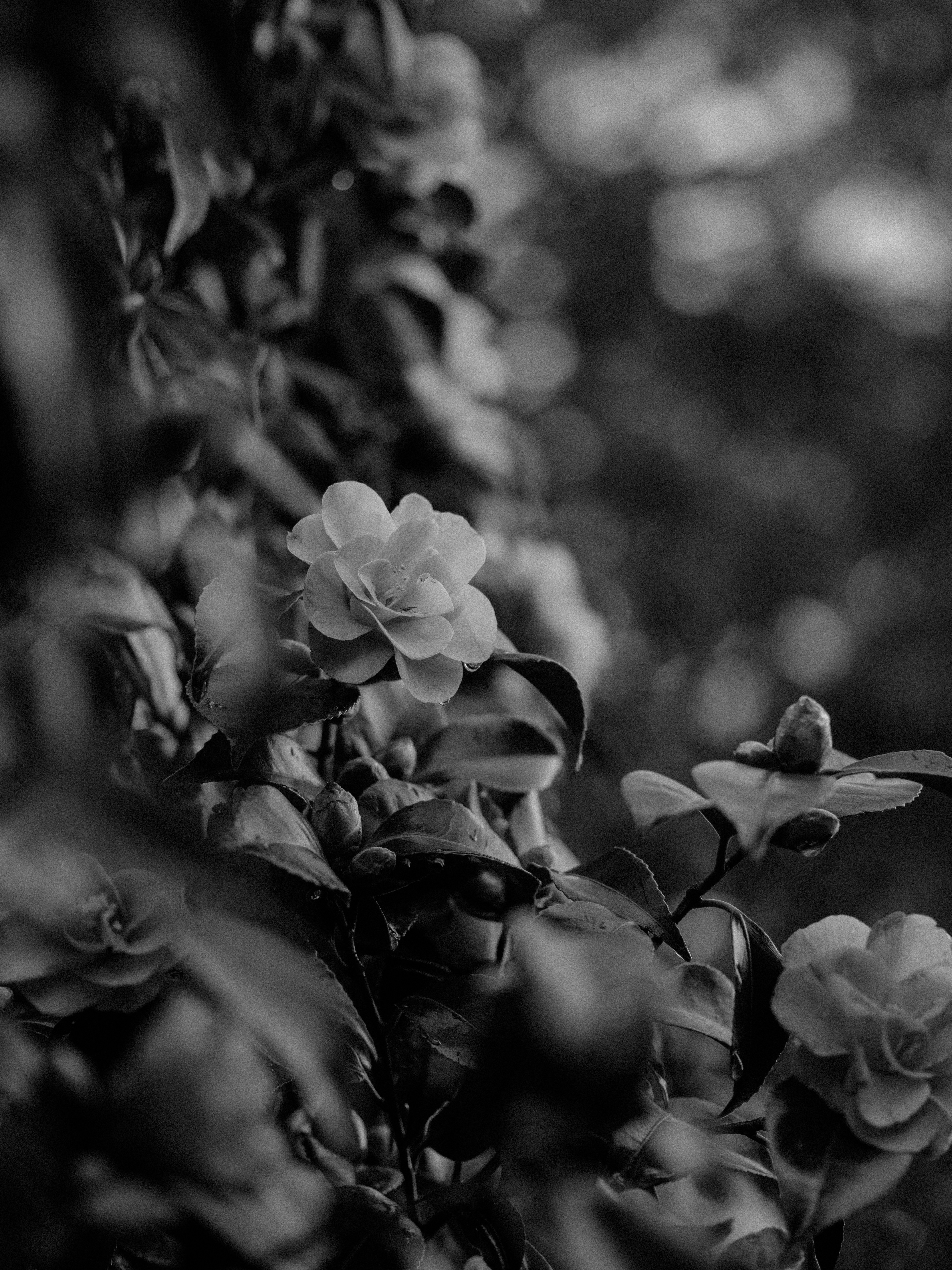 Photo by anniespratt