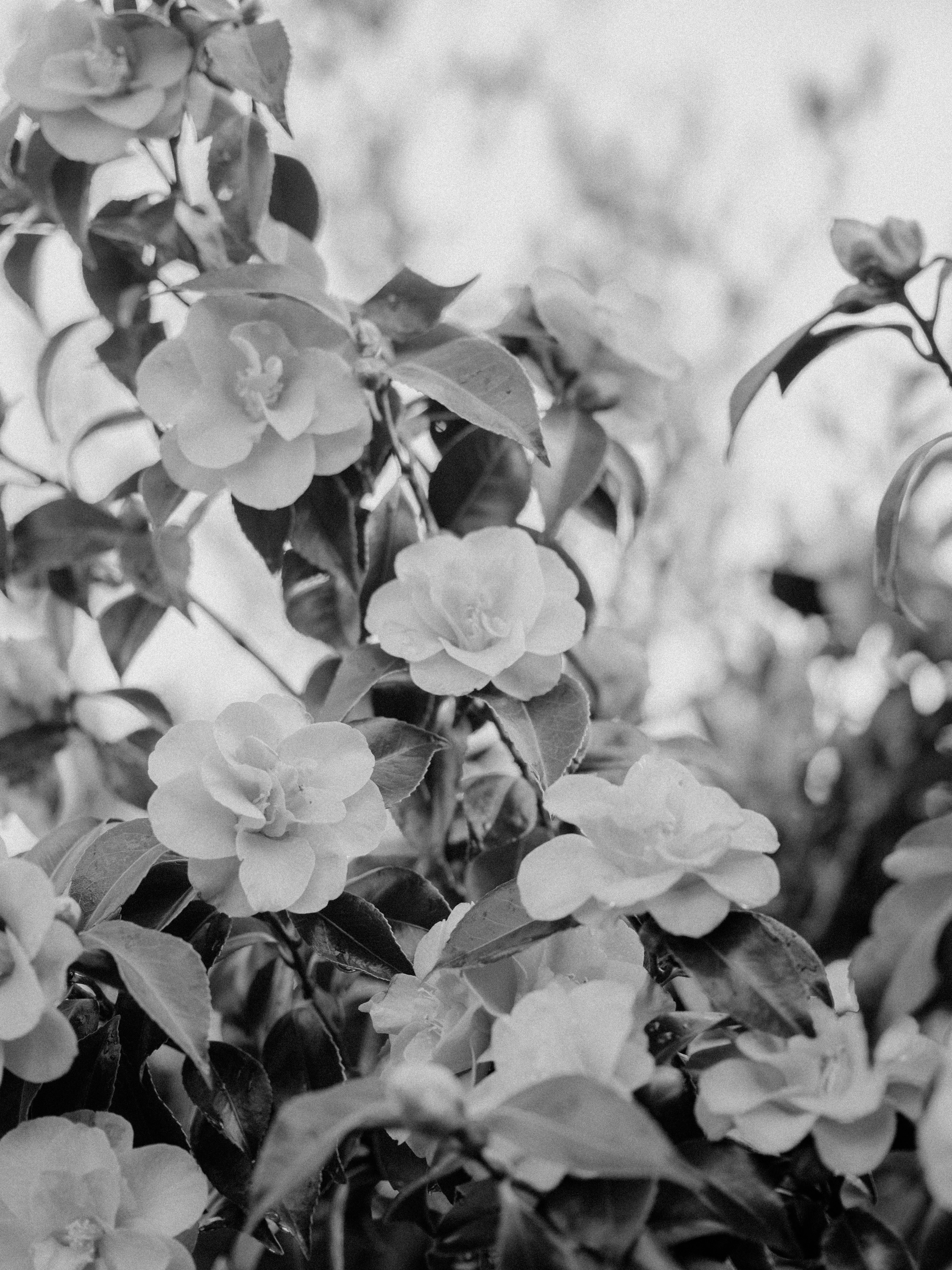 Photo by anniespratt