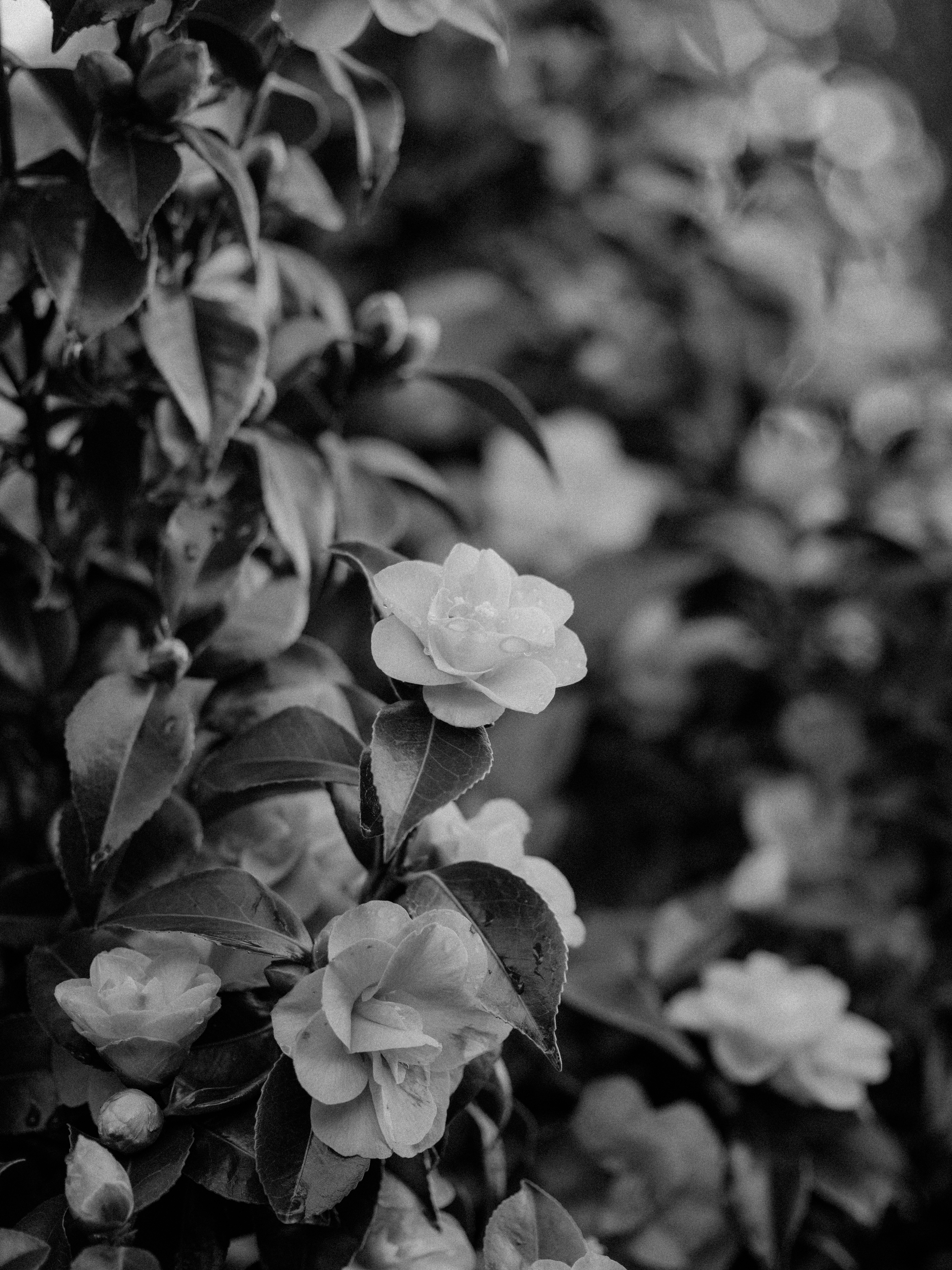 Photo by anniespratt