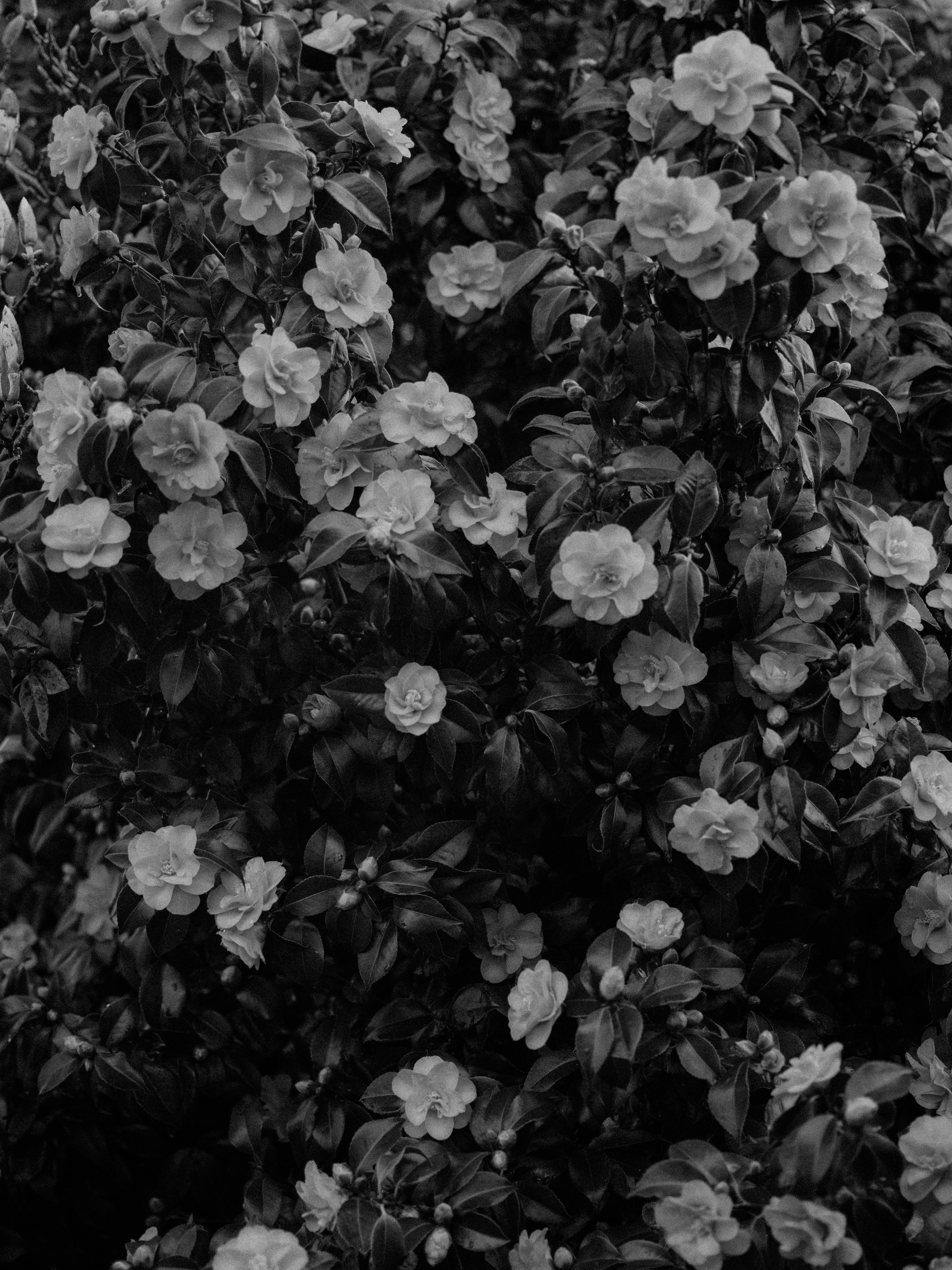 Photo by anniespratt