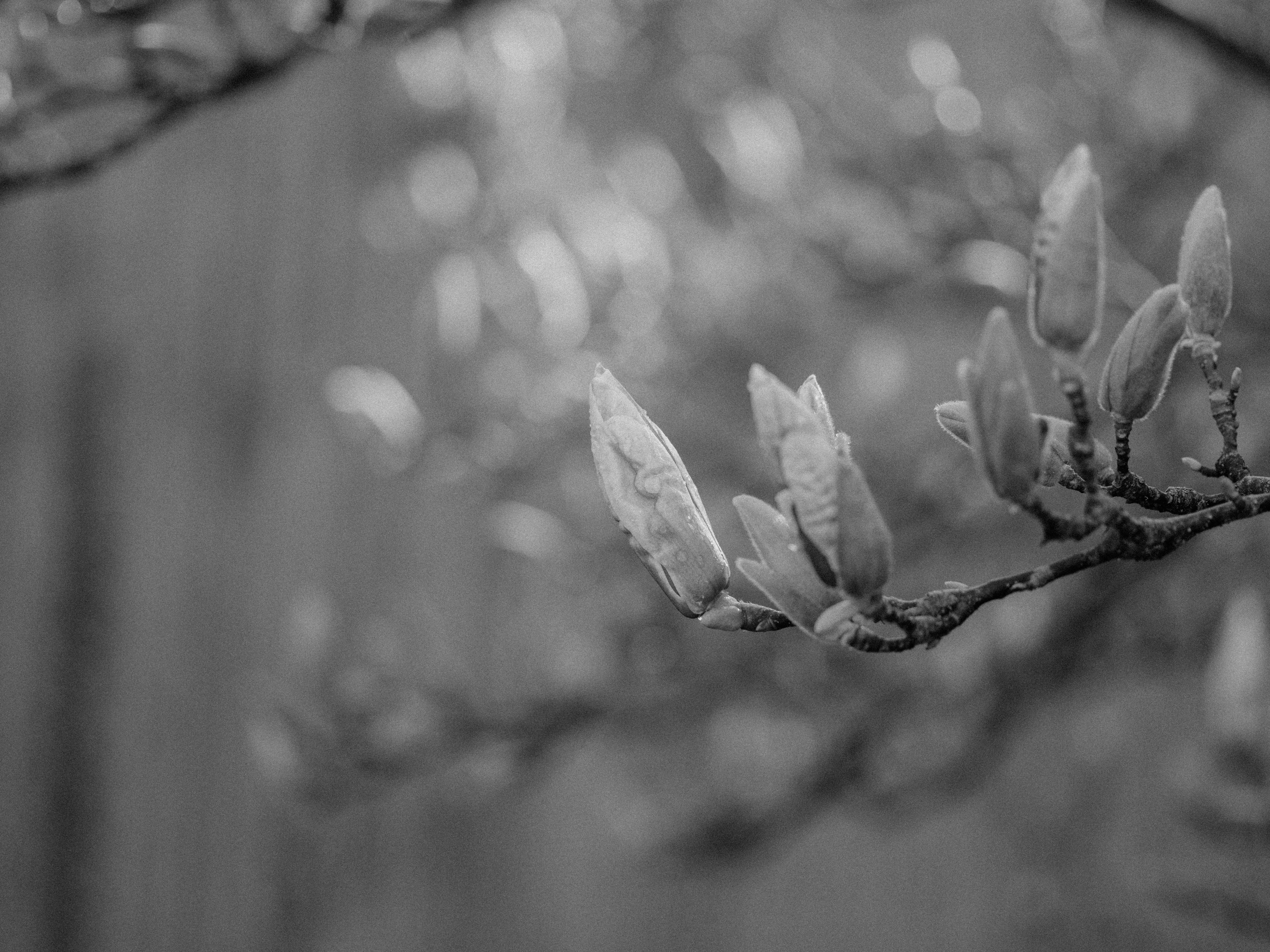 Photo by anniespratt