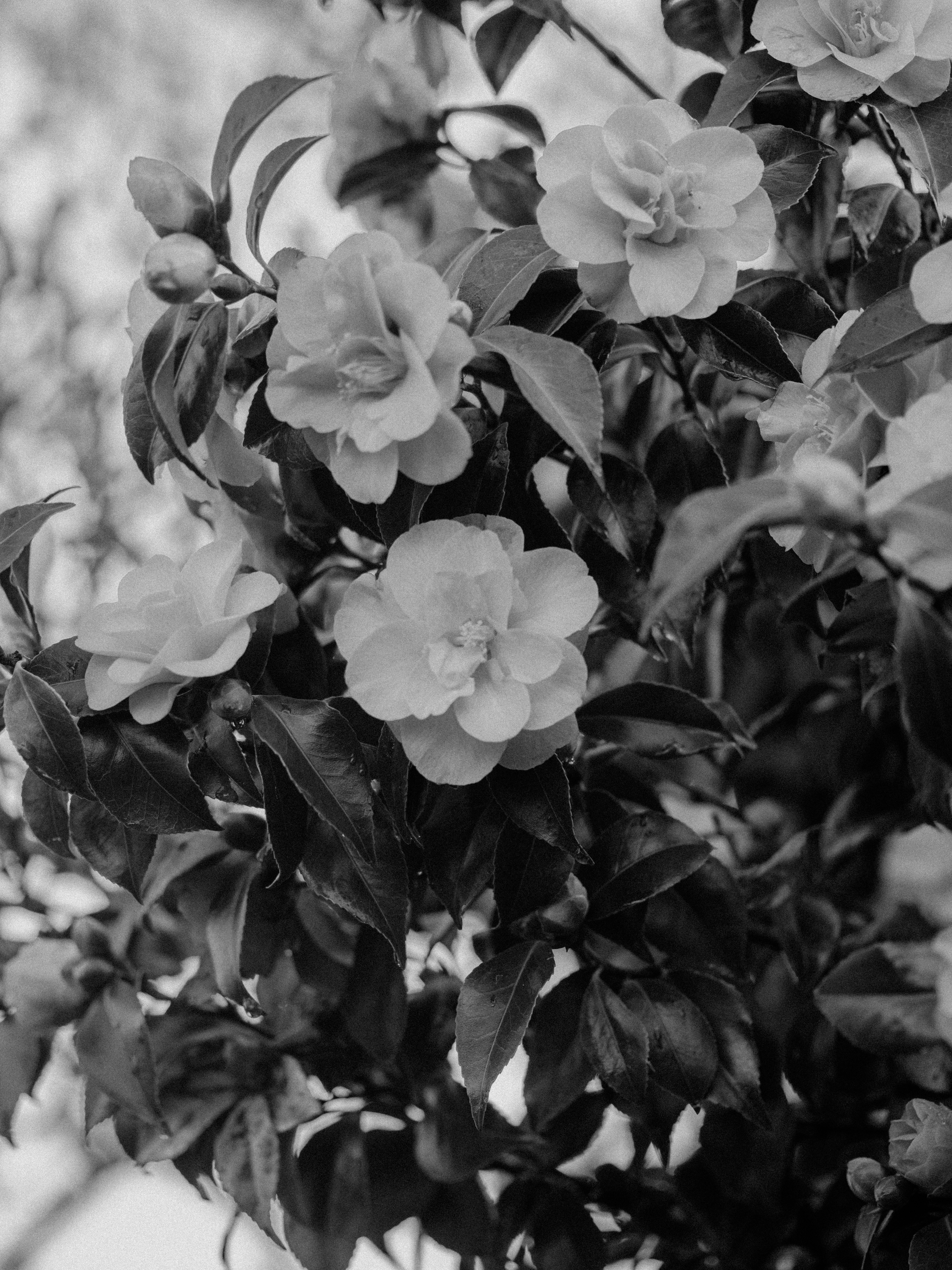 Photo by anniespratt