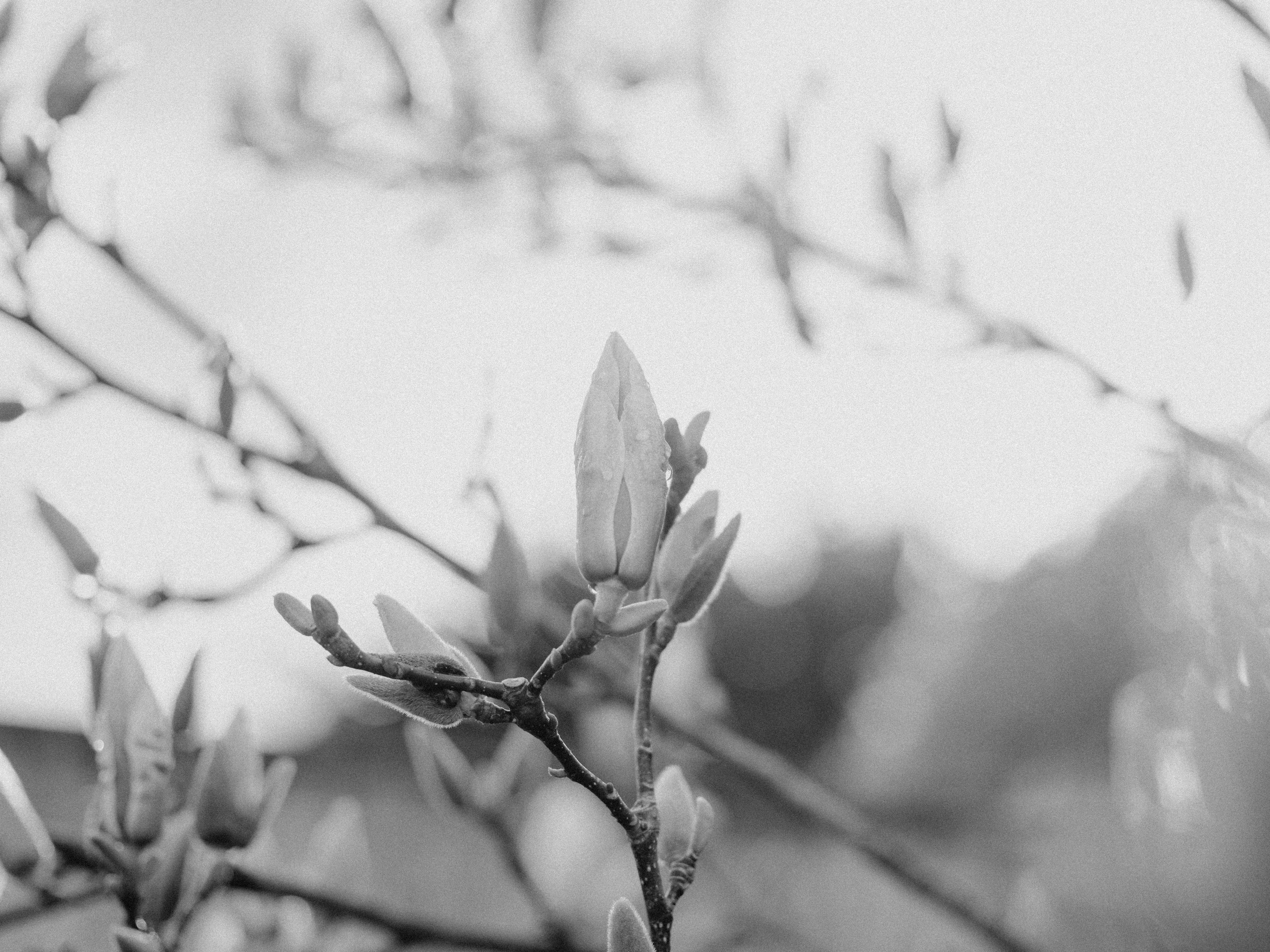 Photo by anniespratt