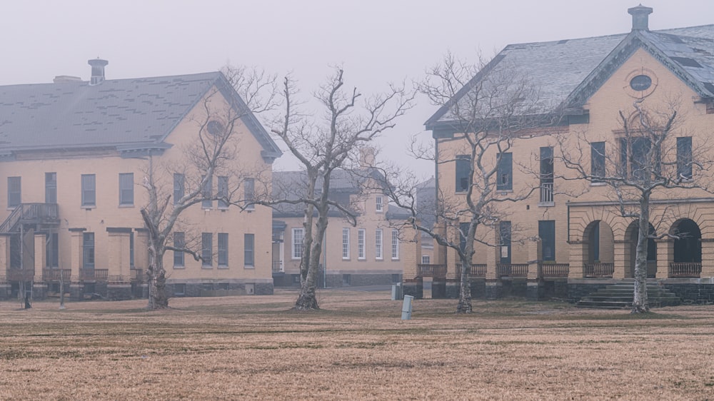 a horse standing in a field in front of a house