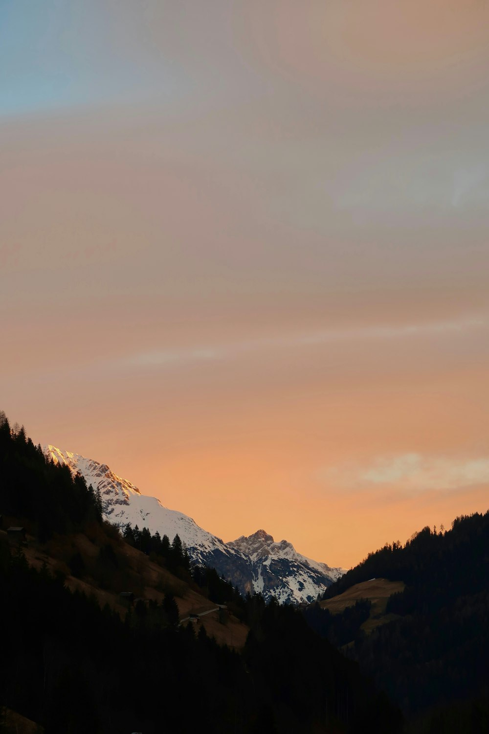 Blick auf einen verschneiten Berg mit Bäumen im Vordergrund