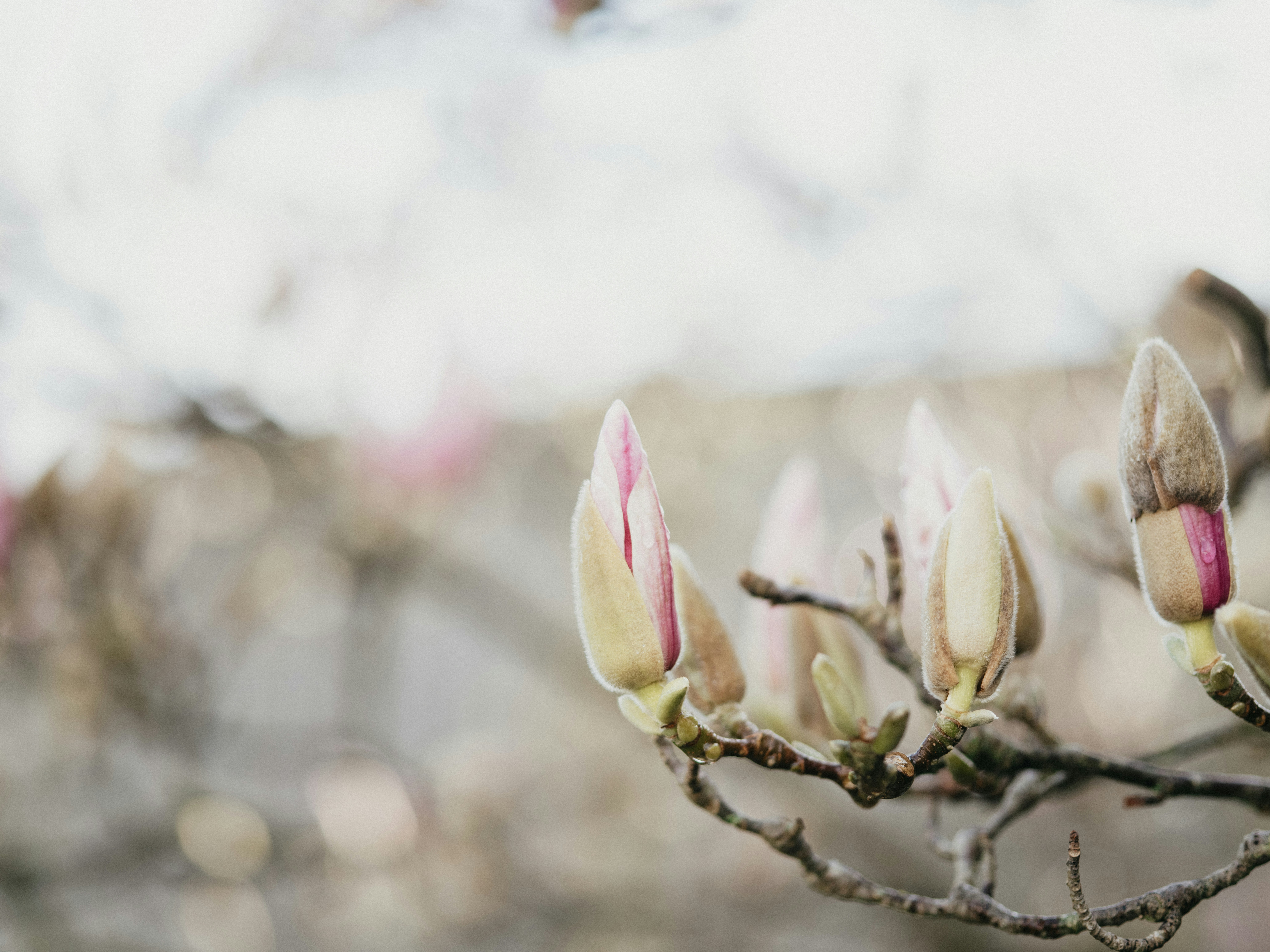 Photo by anniespratt