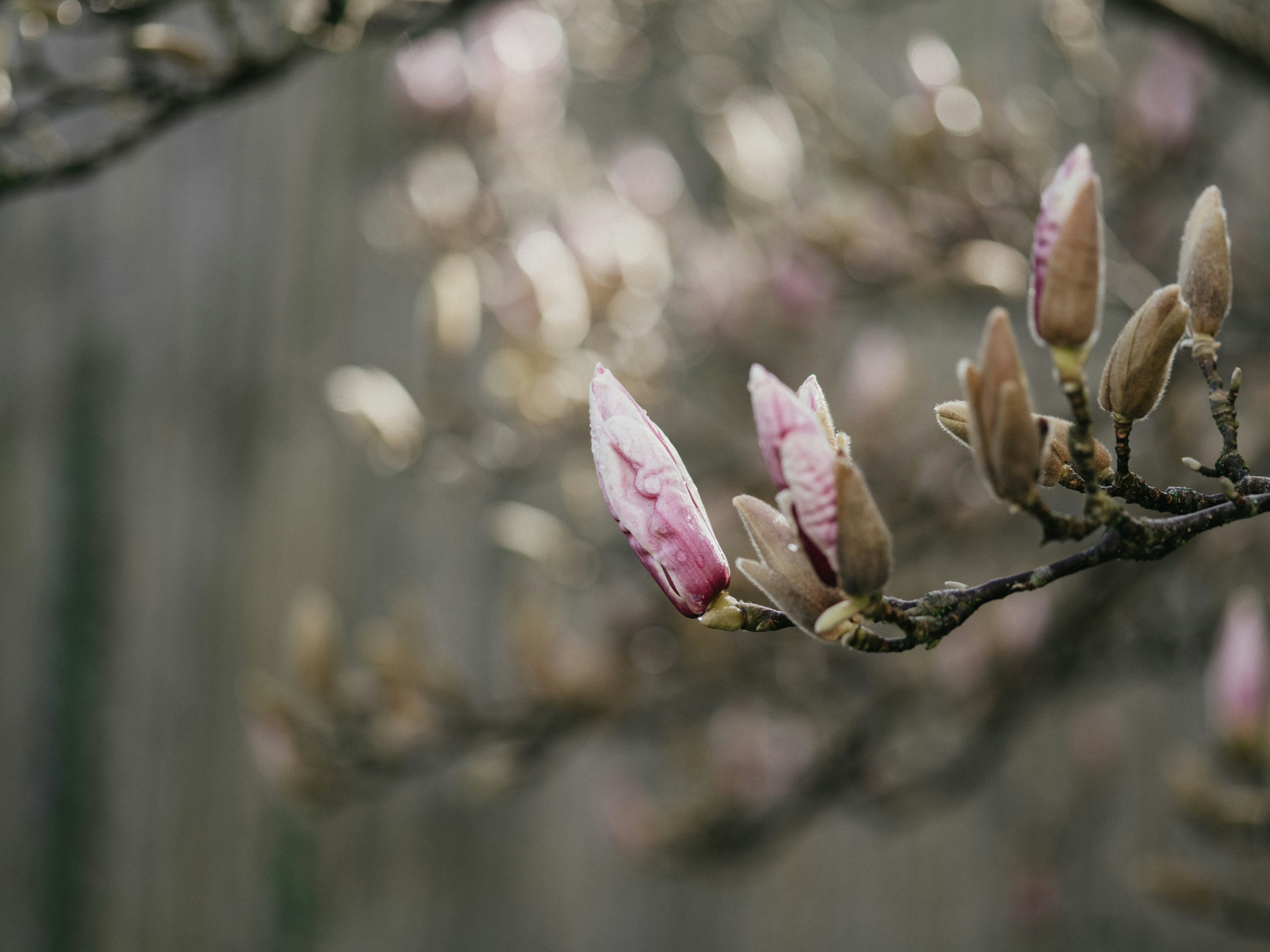 Photo by anniespratt