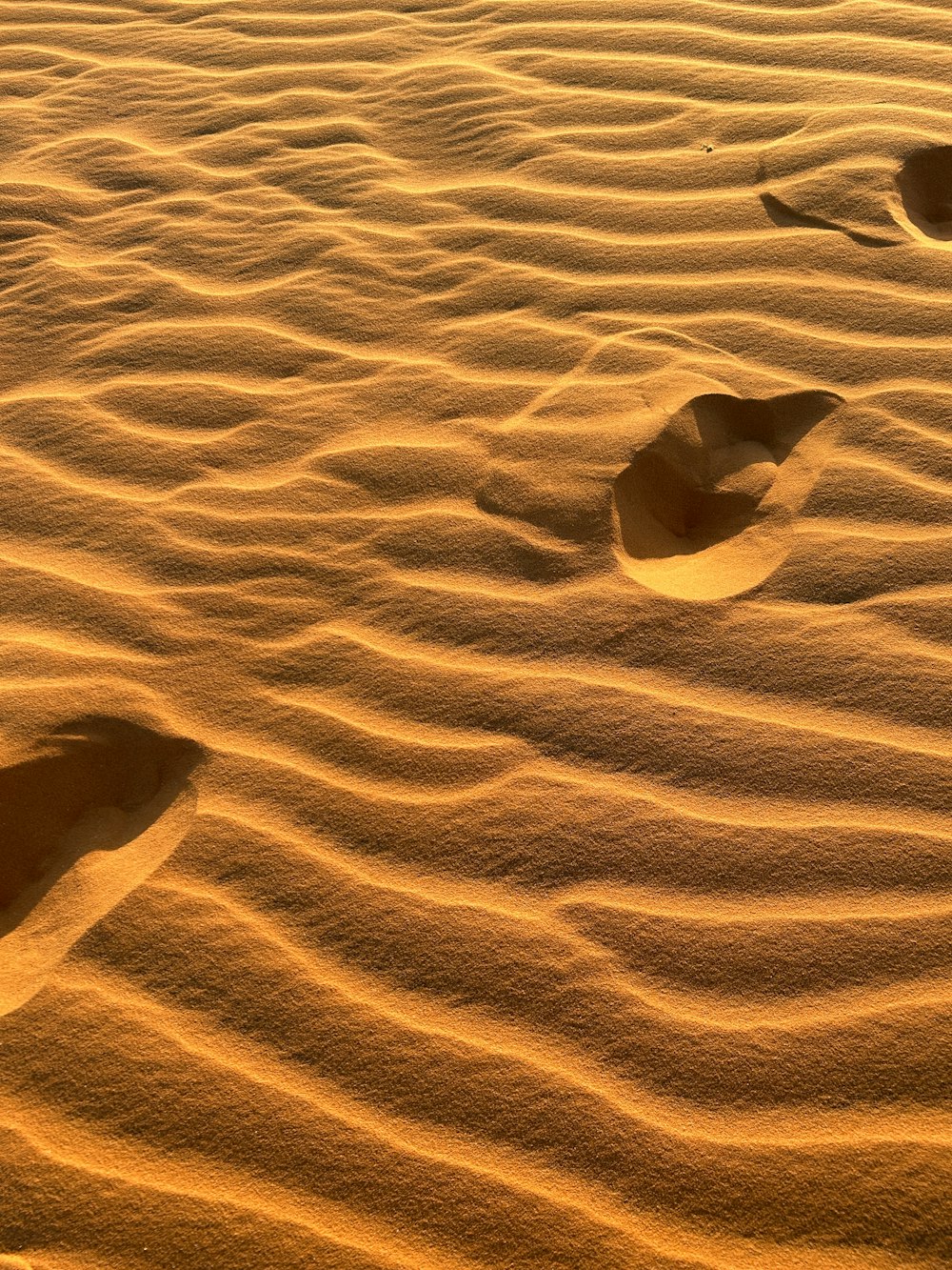 Deux empreintes de pas dans le sable d’un désert