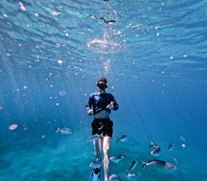 a man swimming in the ocean with a lot of fish
