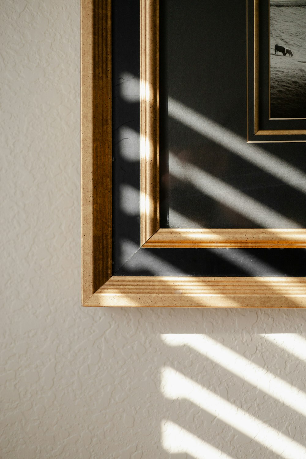 a picture frame hanging on a wall with a horse in the background