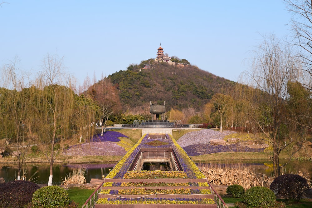 a garden with a hill in the background