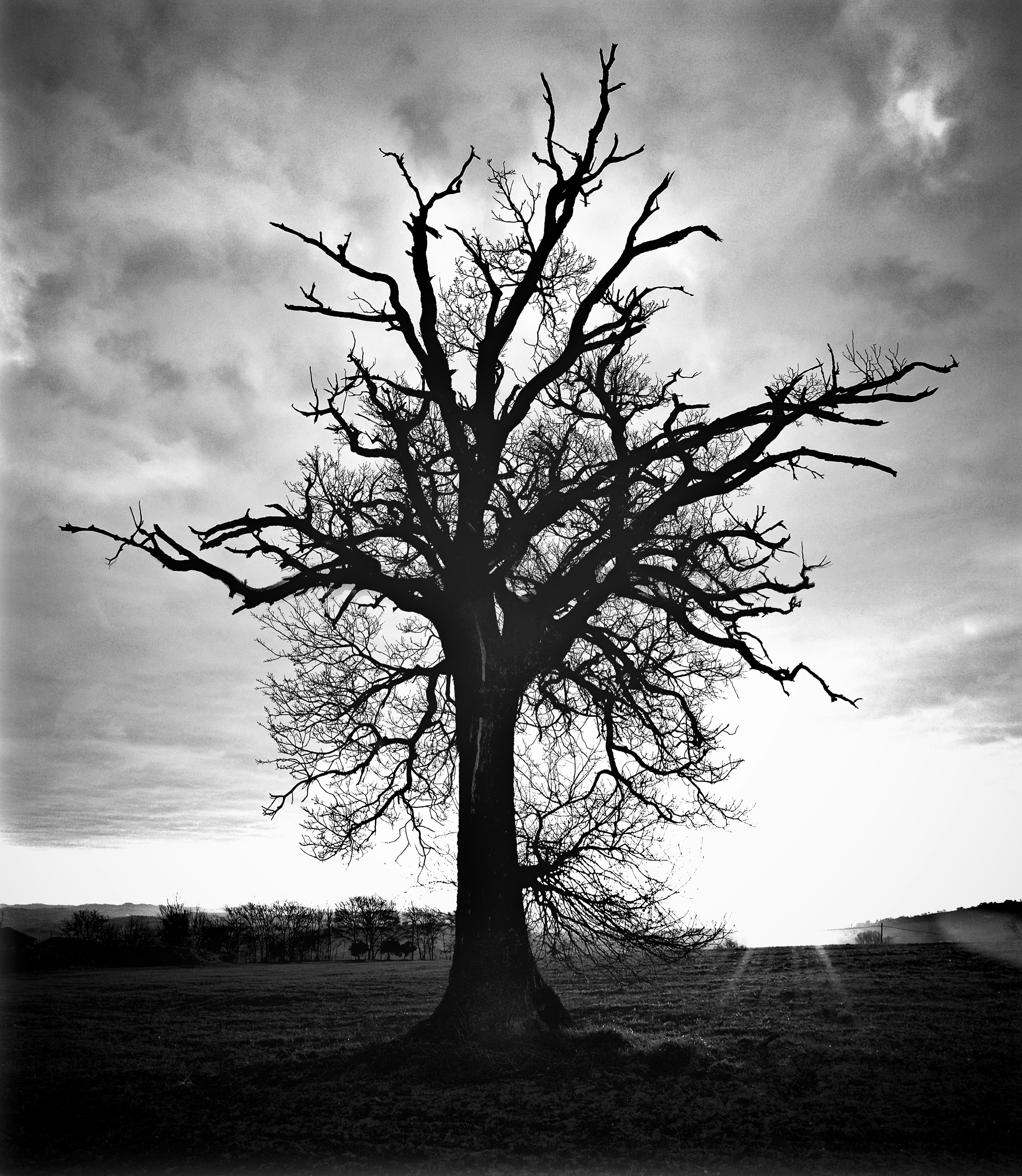 Photo by mariobeducci