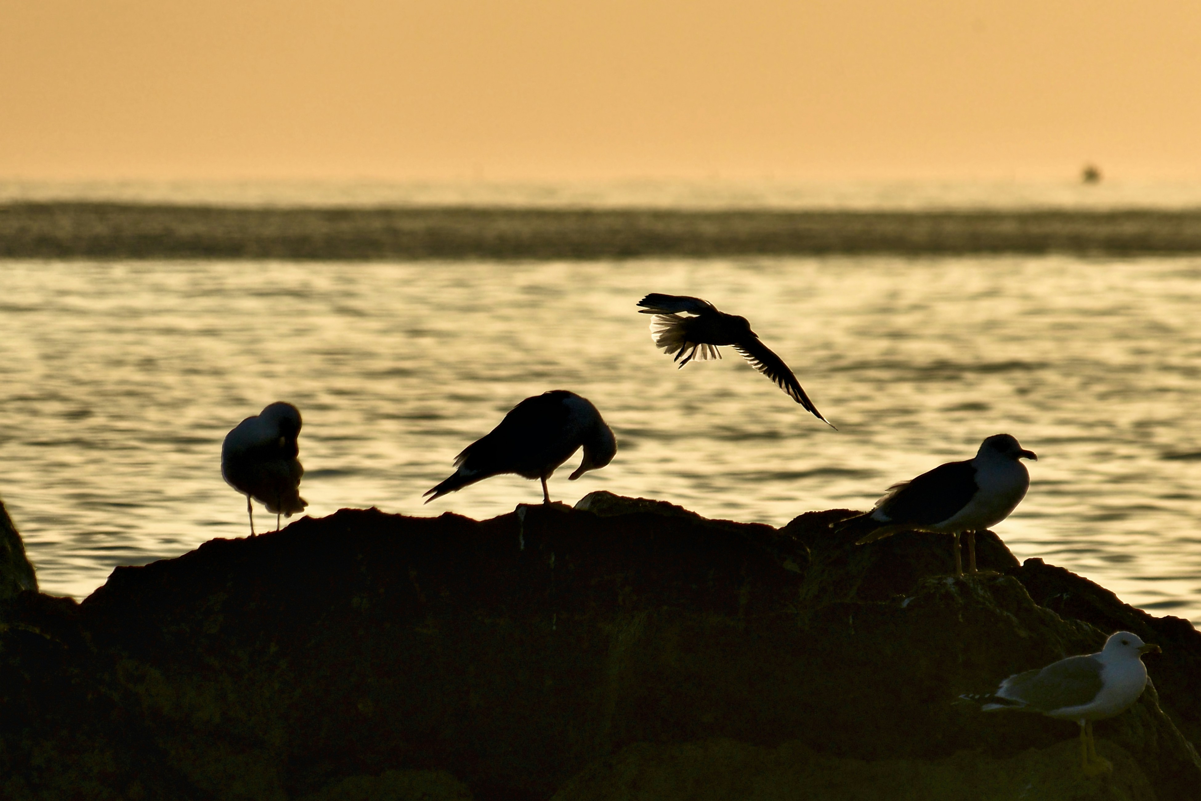 Photo by mariobeducci