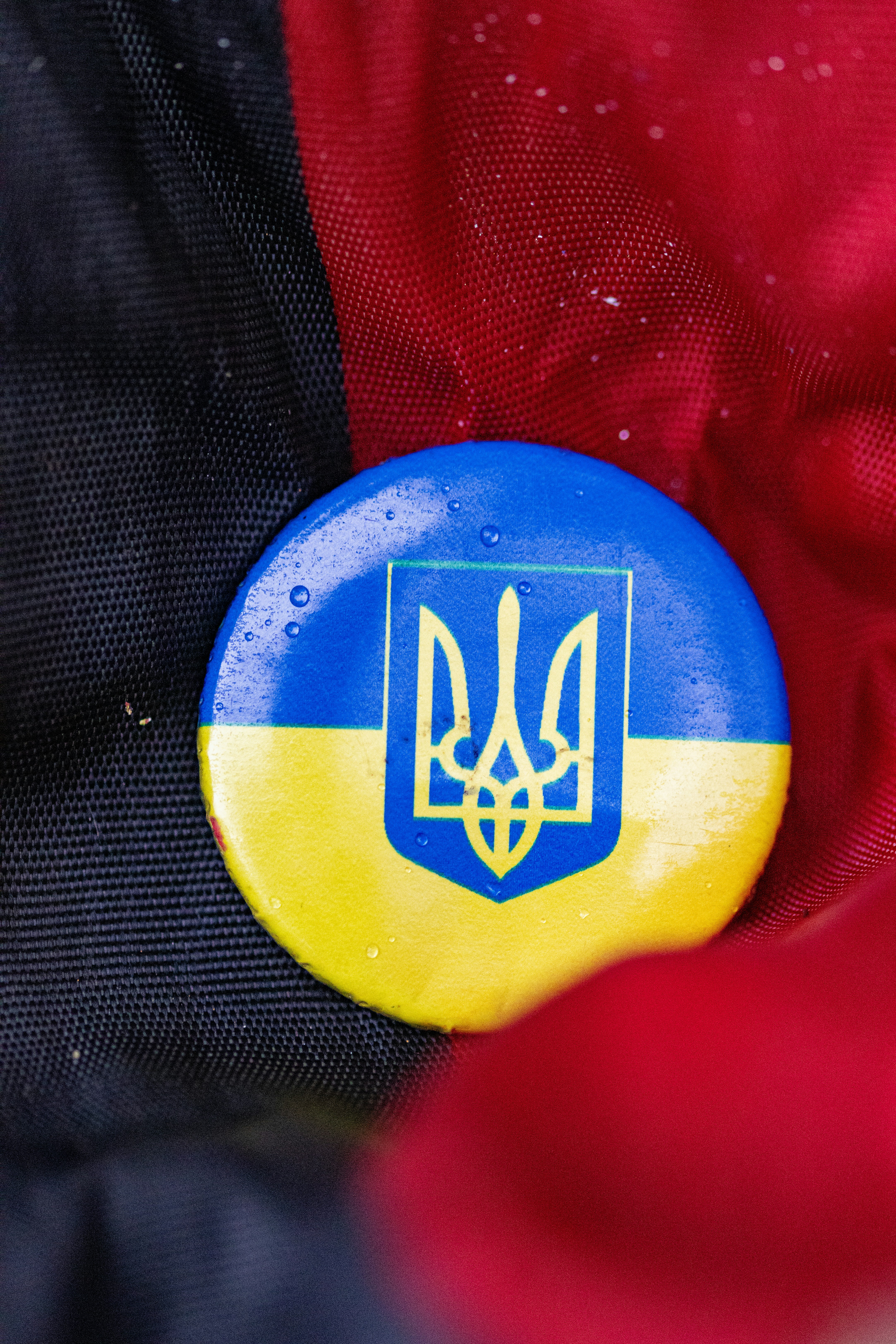 a button with a coat of arms on it