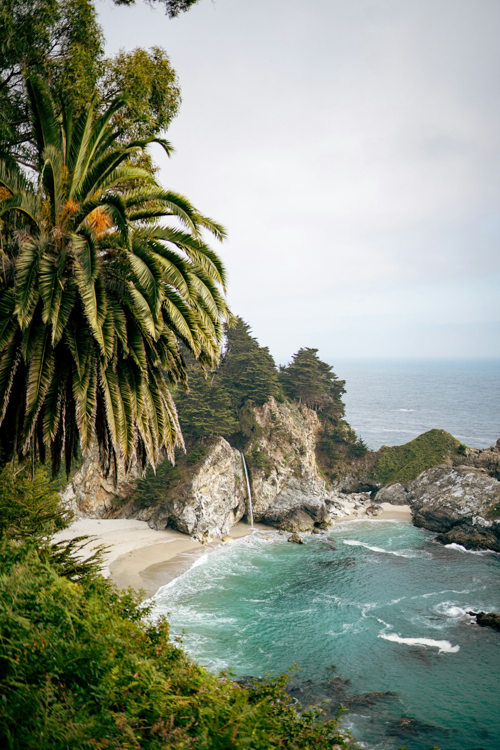 a view of a beach with a palm tree in the foreground