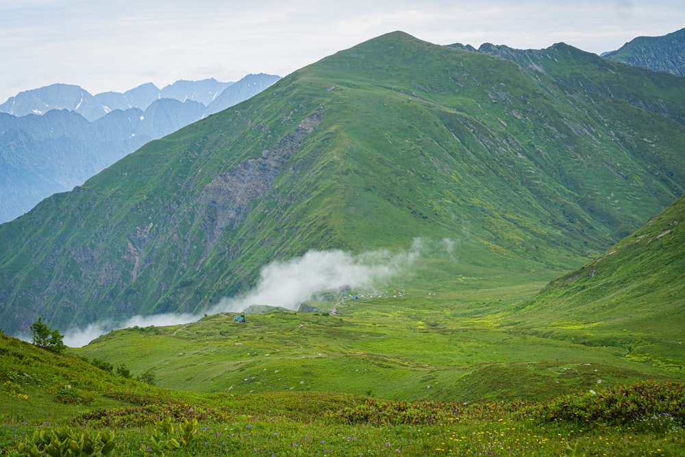 a lush green hillside with mountains in the background