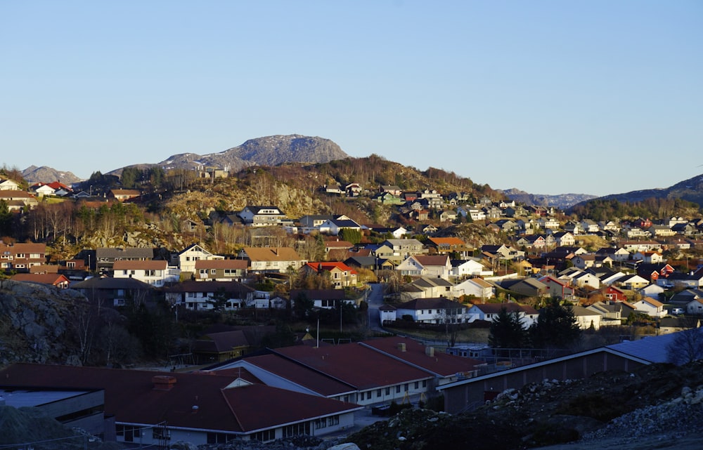 a view of a city with a mountain in the background