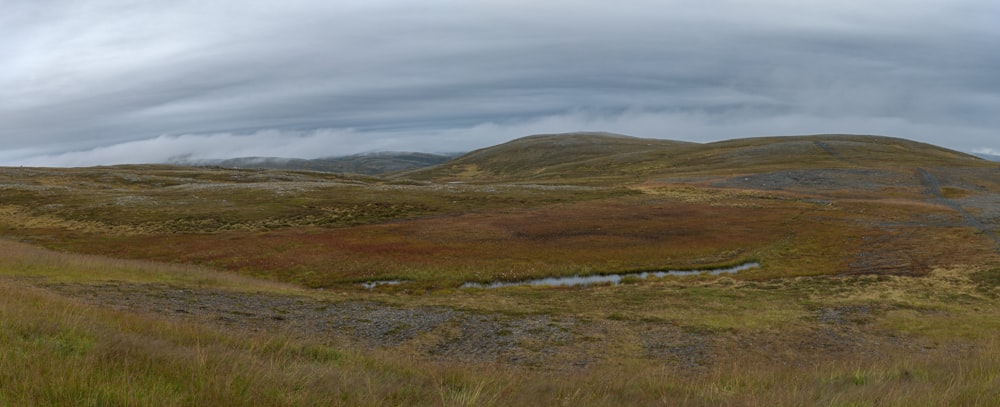 a grassy field with a small pond in the middle of it