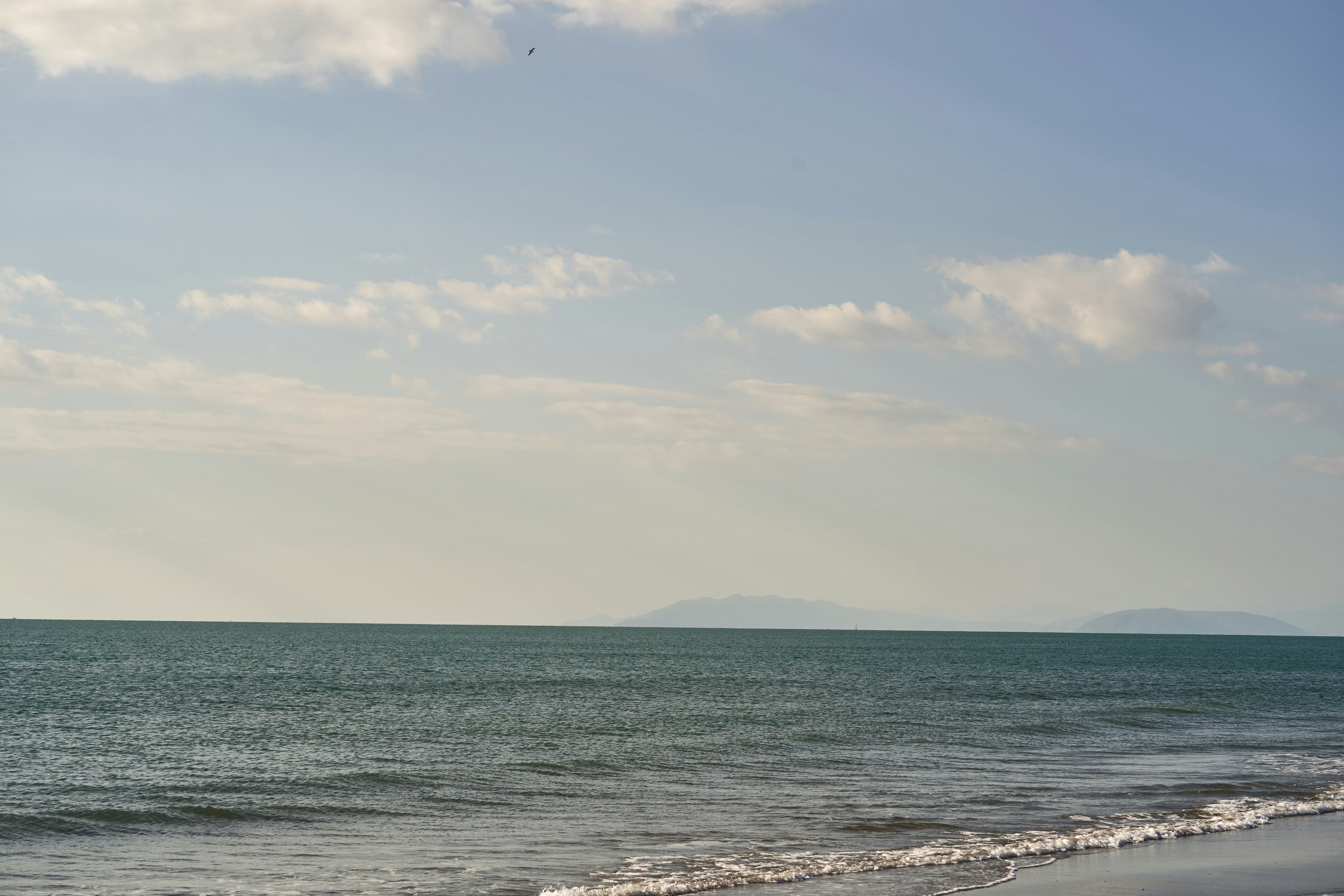 Photo by wolfgang_hasselmann