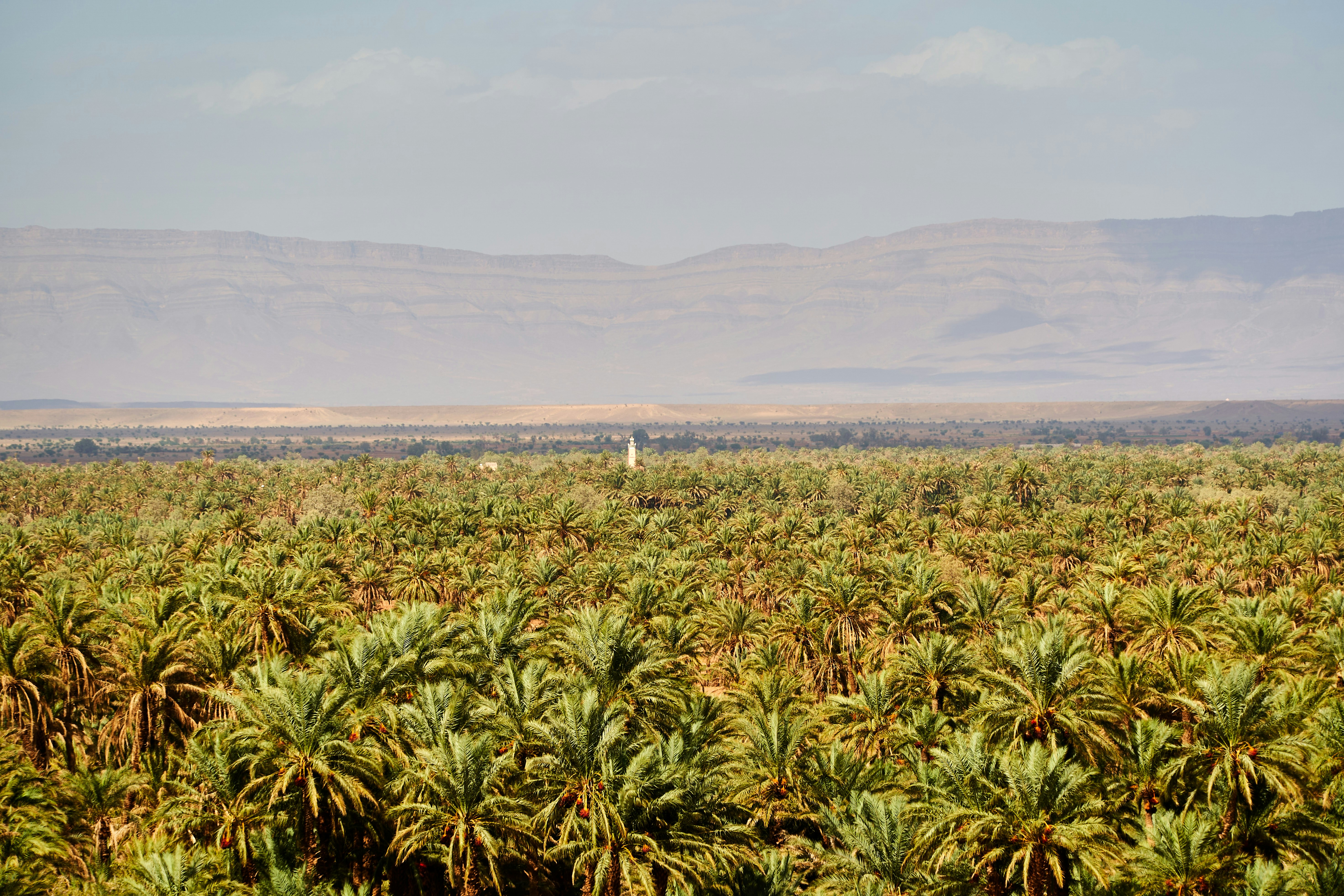 Photo by wolfgang_hasselmann